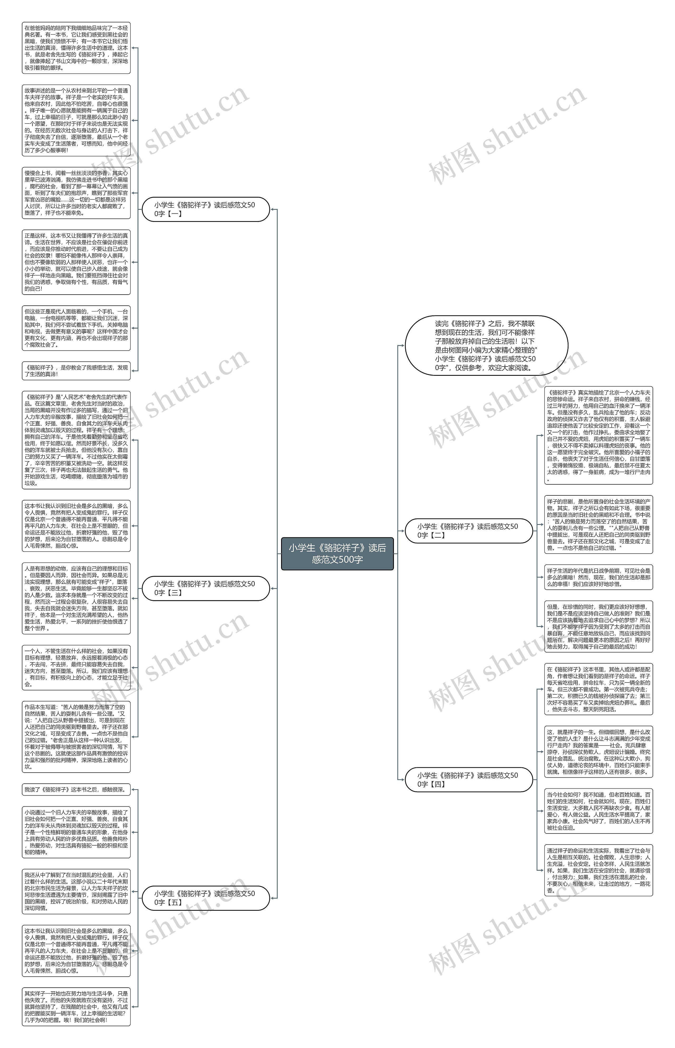 小学生《骆驼祥子》读后感范文500字思维导图