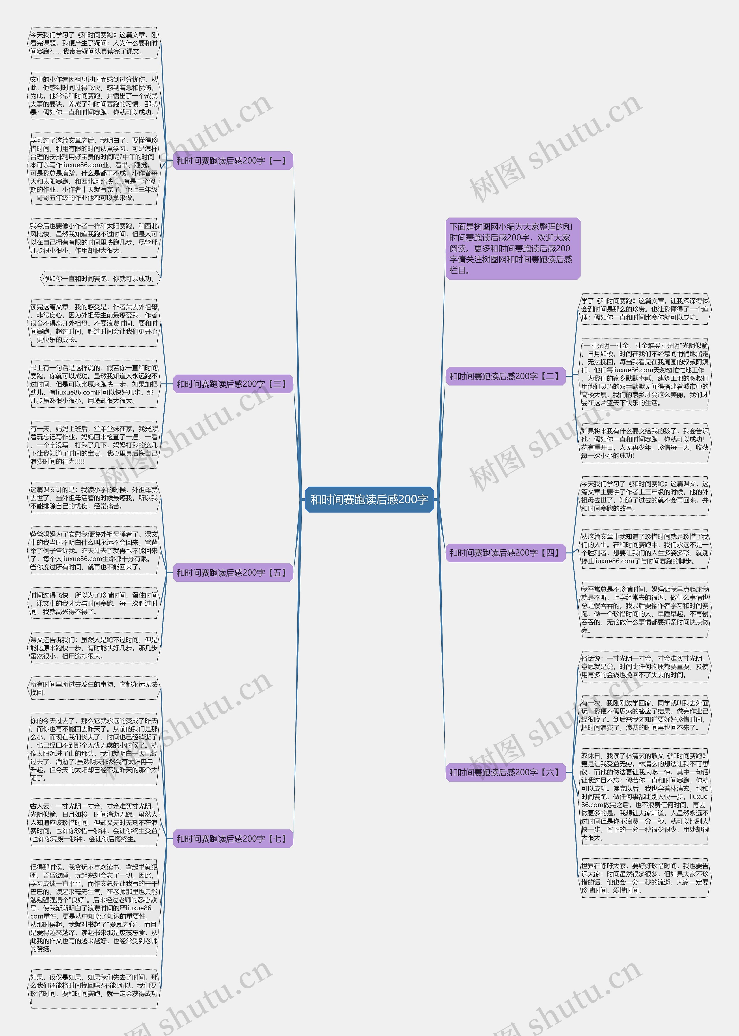 和时间赛跑读后感200字思维导图