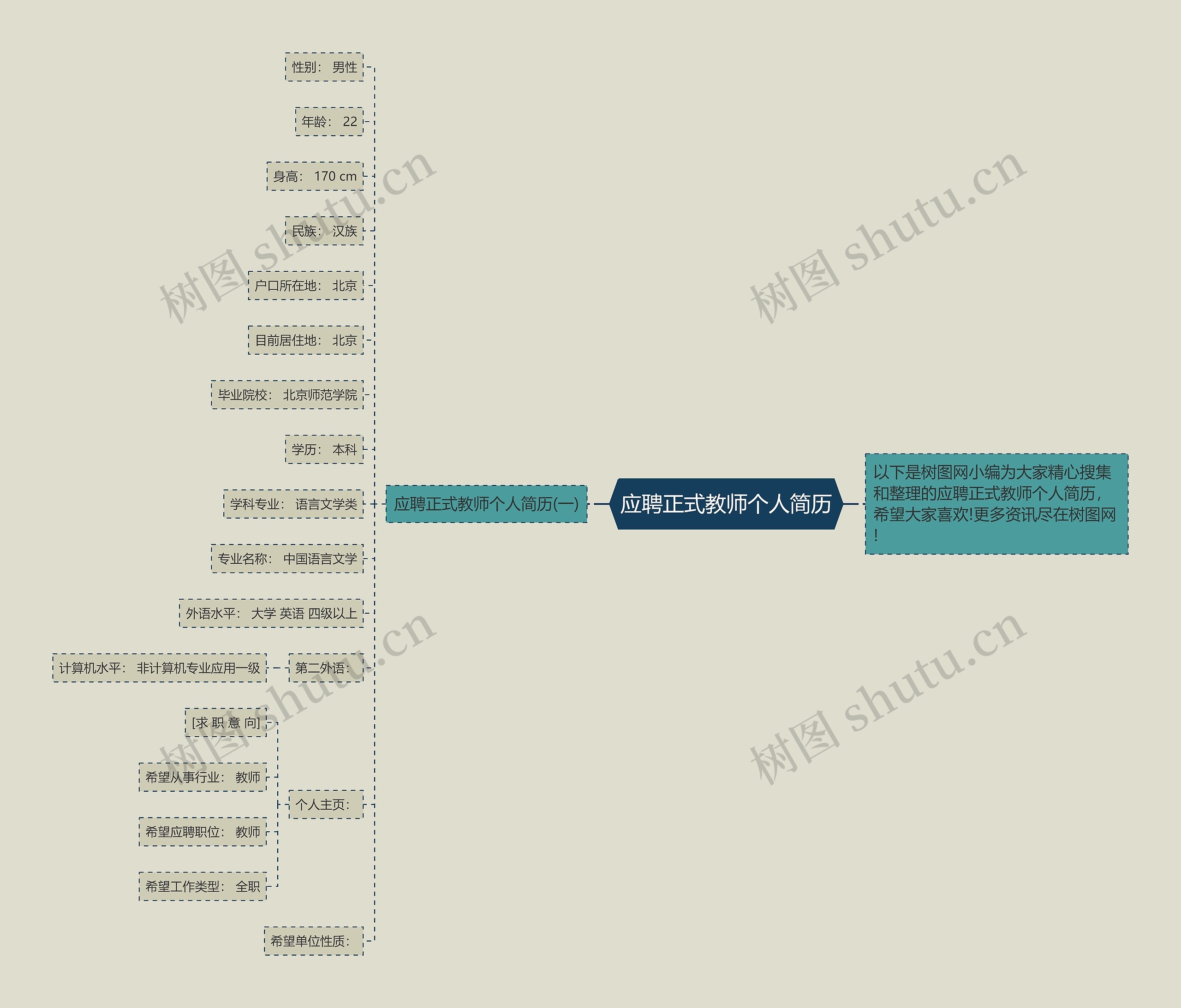 应聘正式教师个人简历思维导图