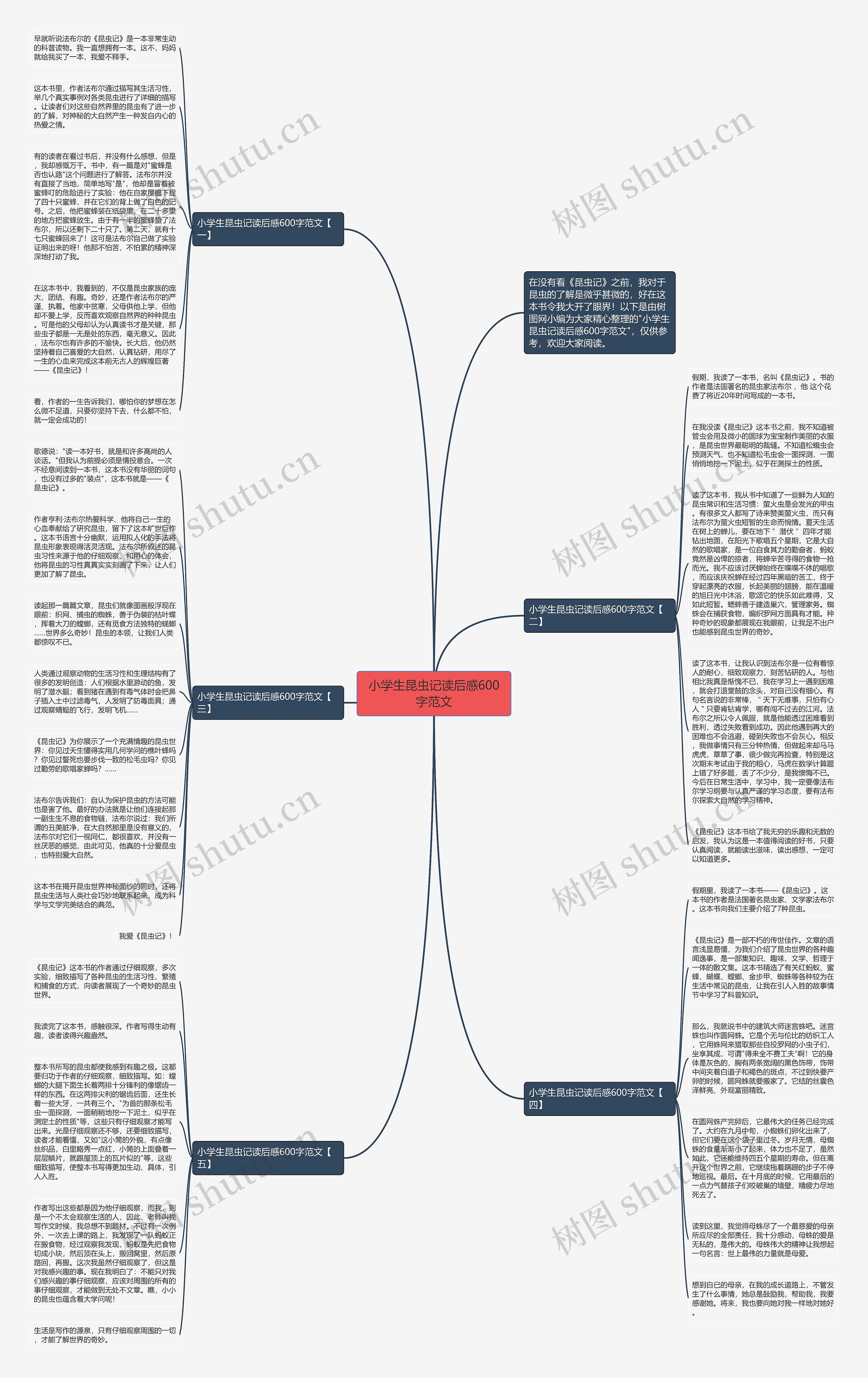 小学生昆虫记读后感600字范文思维导图