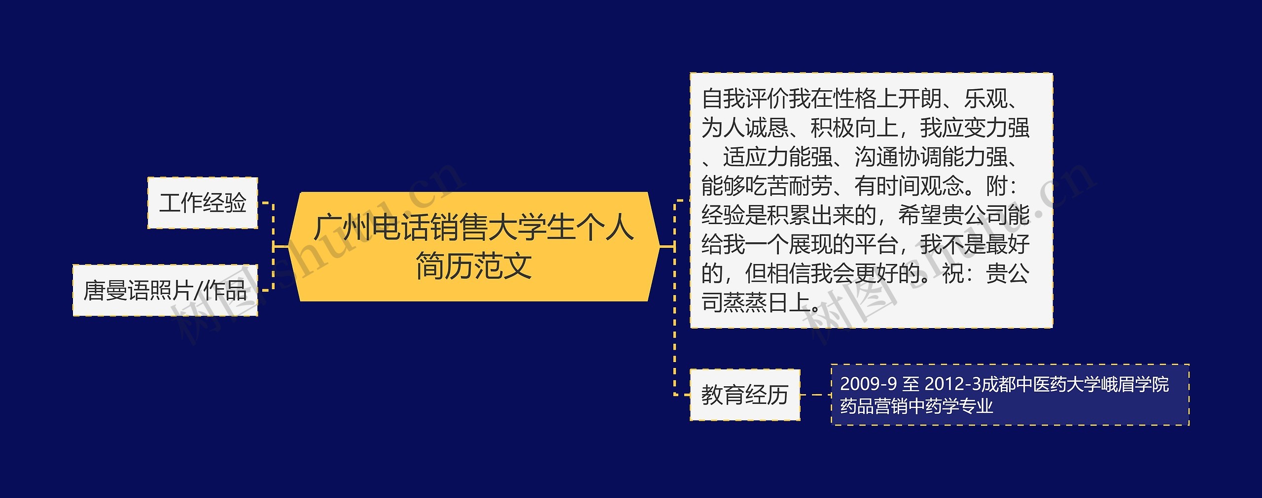 广州电话销售大学生个人简历范文思维导图