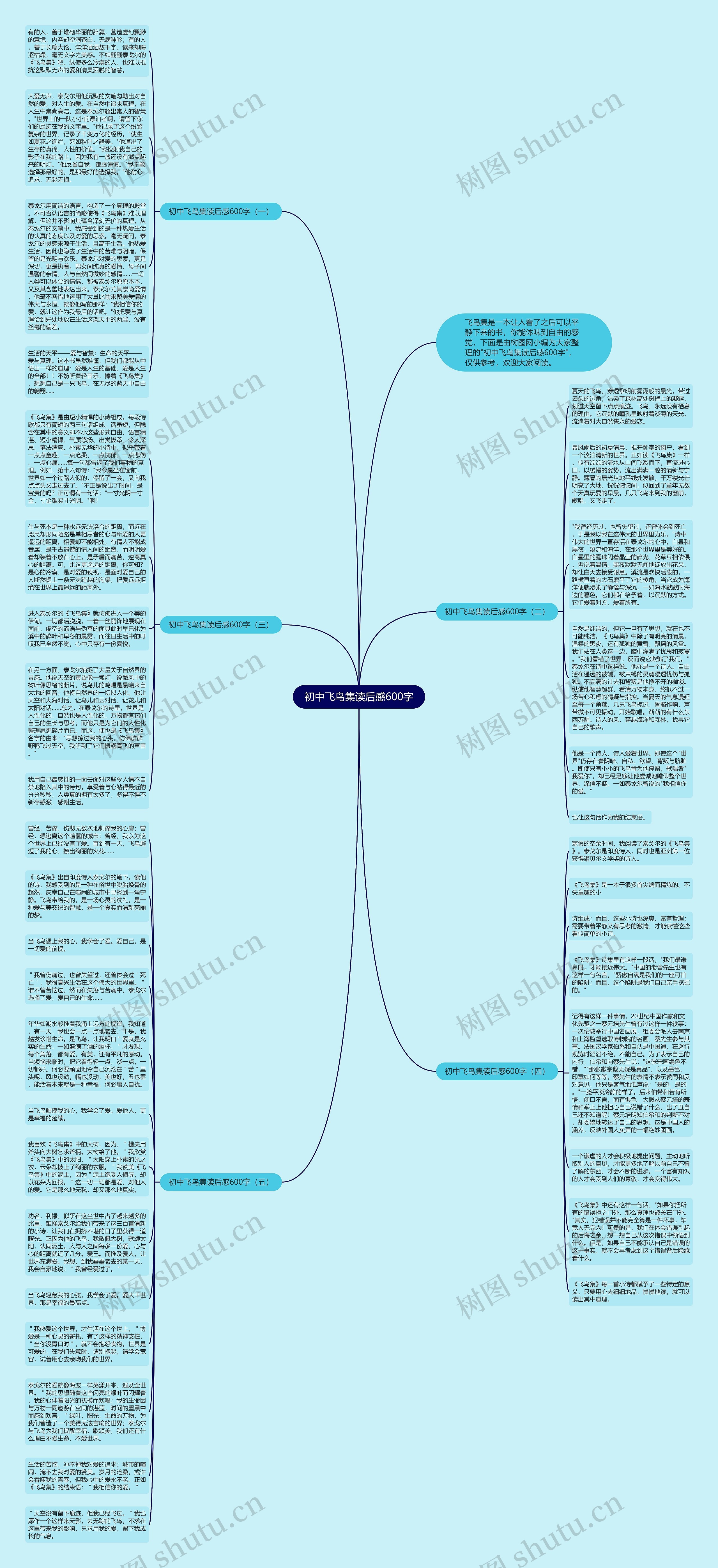 初中飞鸟集读后感600字思维导图