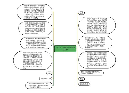 2022个人原因护士辞职信800字