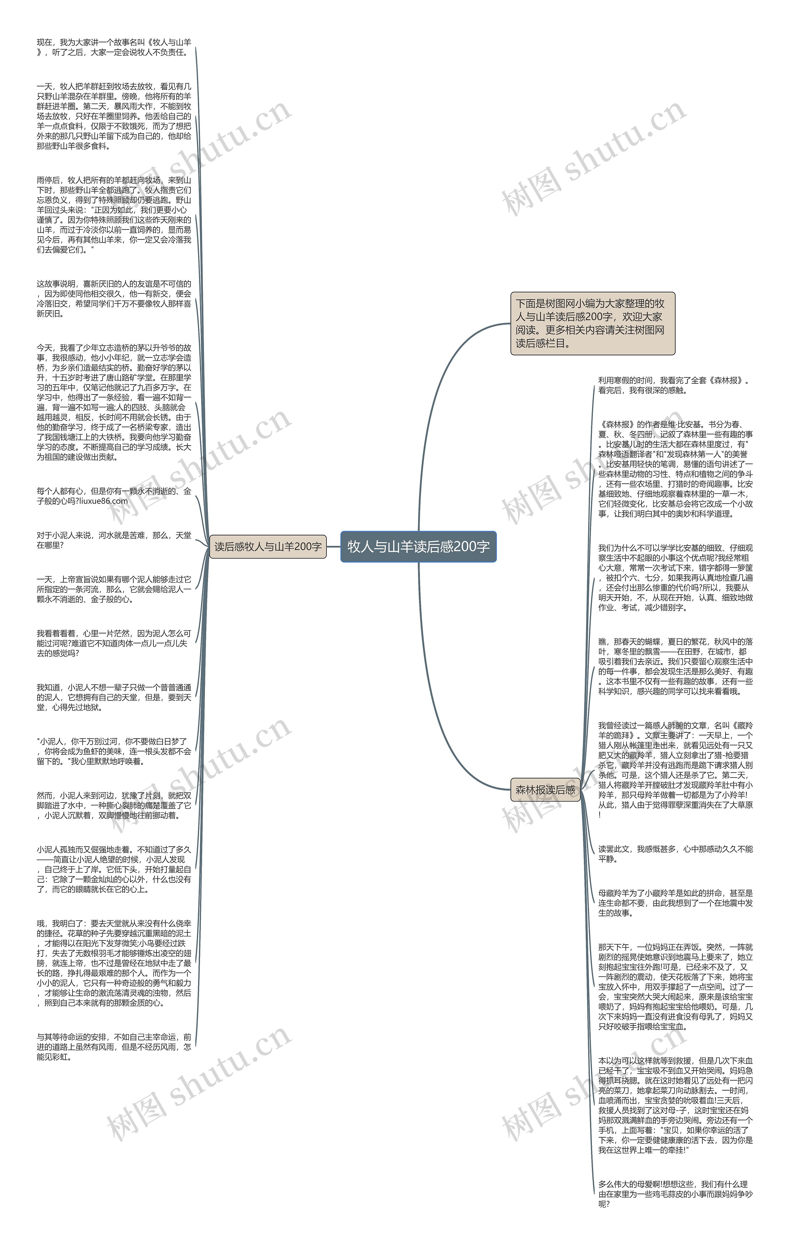 牧人与山羊读后感200字思维导图