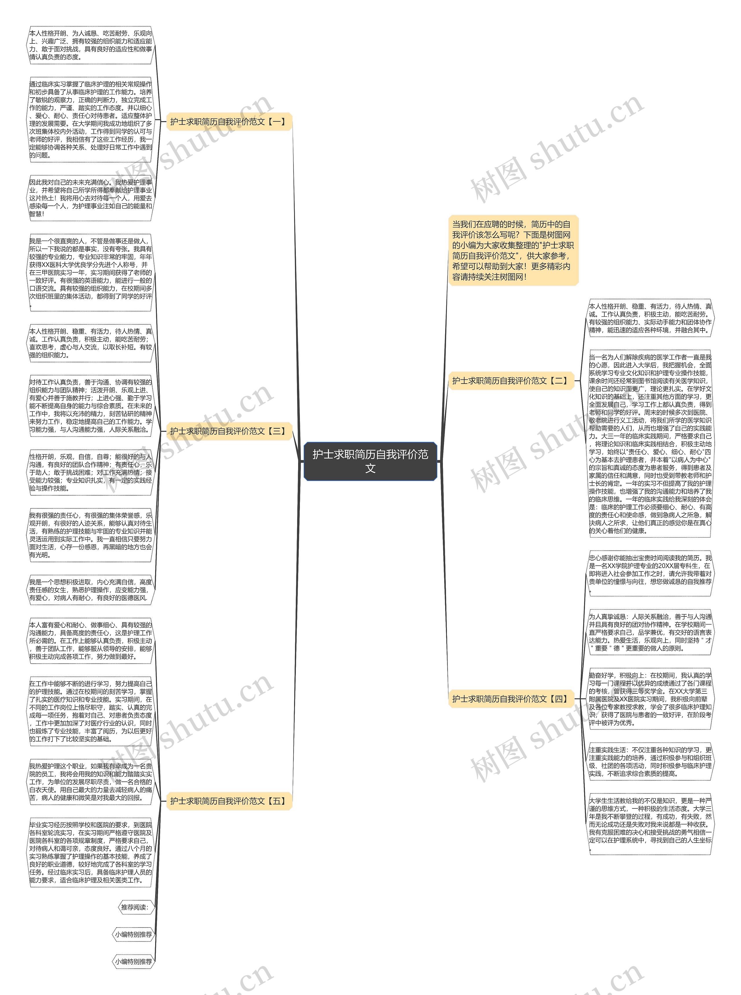 护士求职简历自我评价范文思维导图