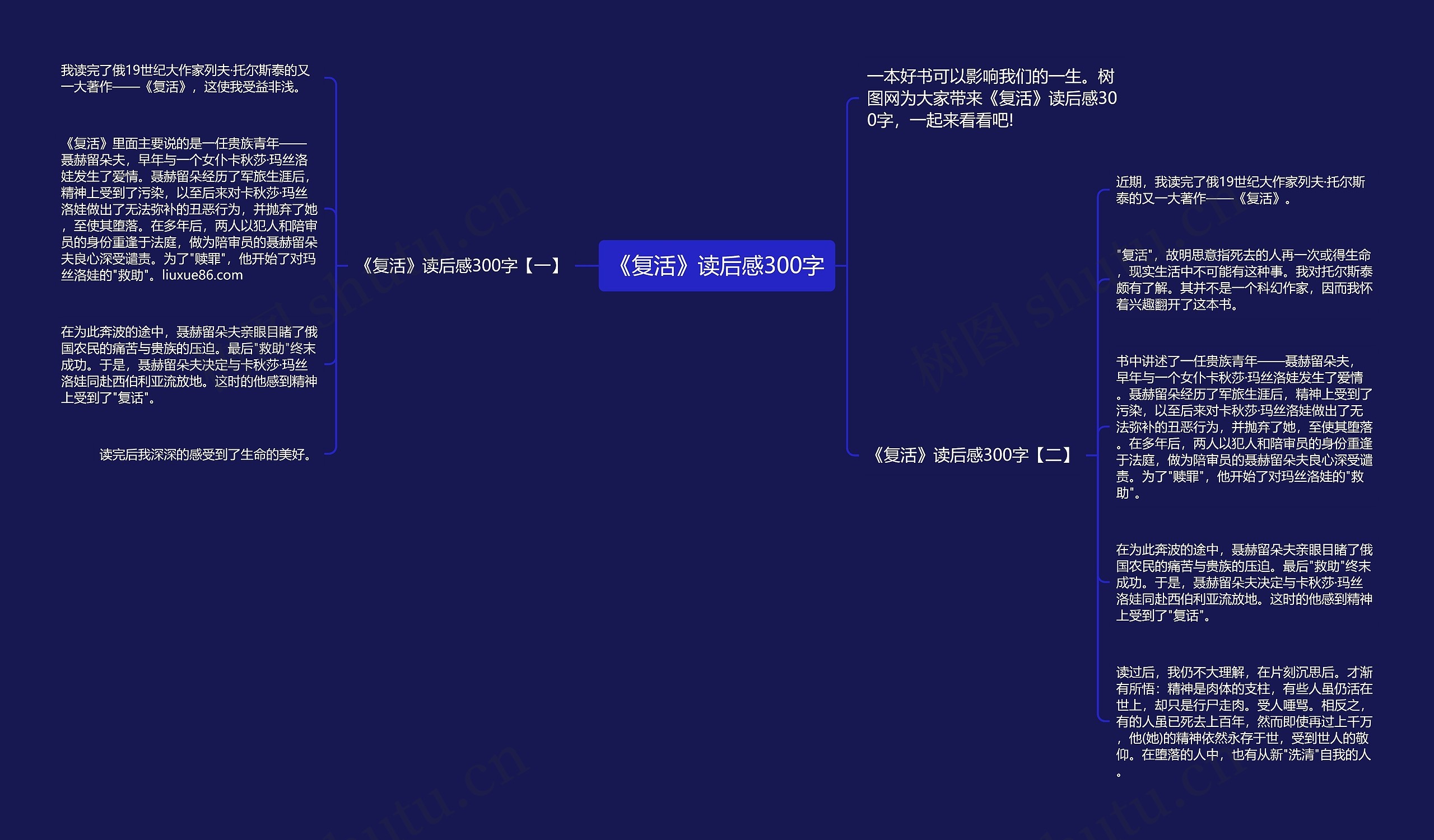 《复活》读后感300字