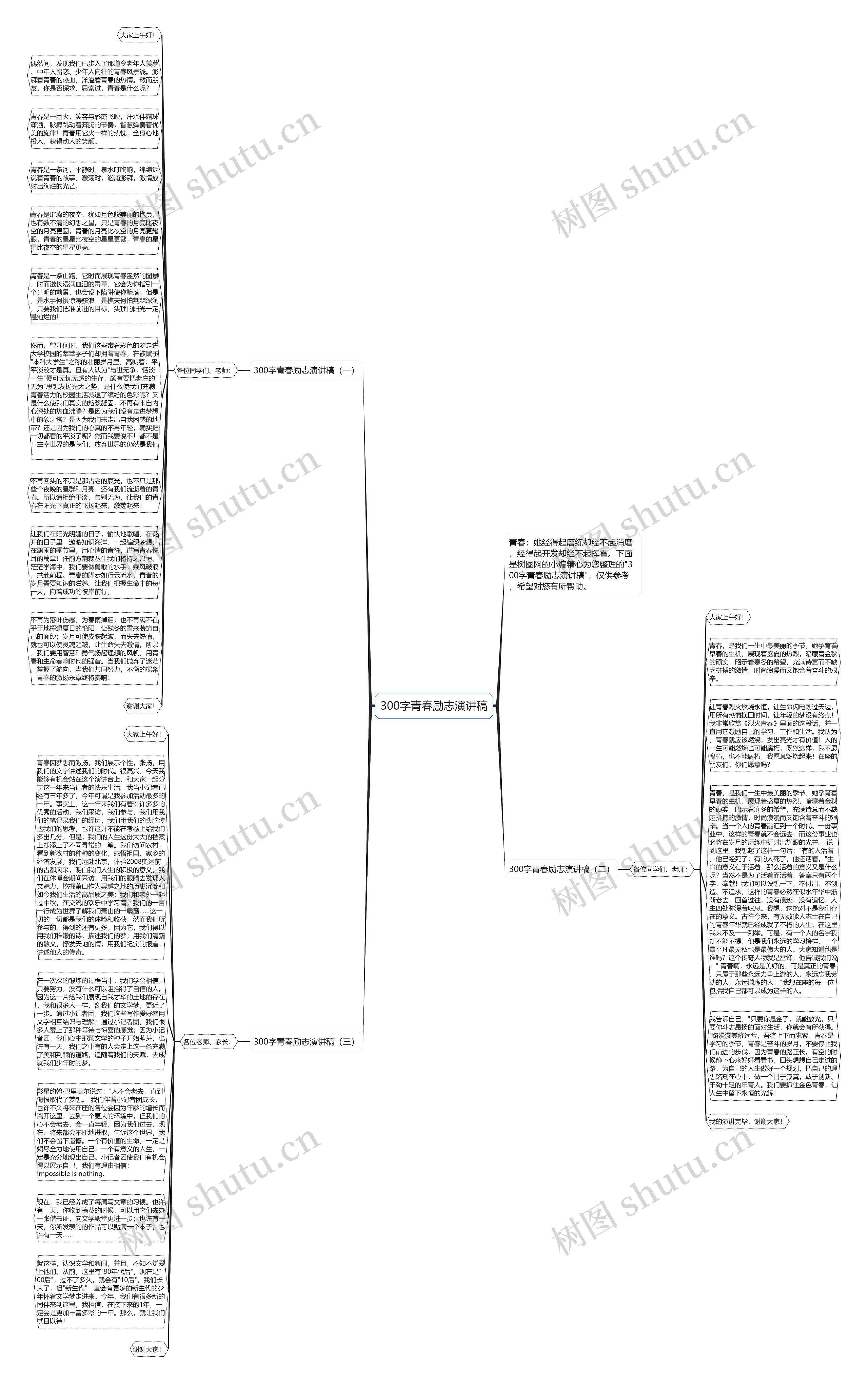 300字青春励志演讲稿思维导图