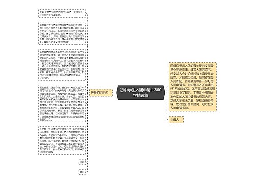 初中学生入团申请书800字精选篇