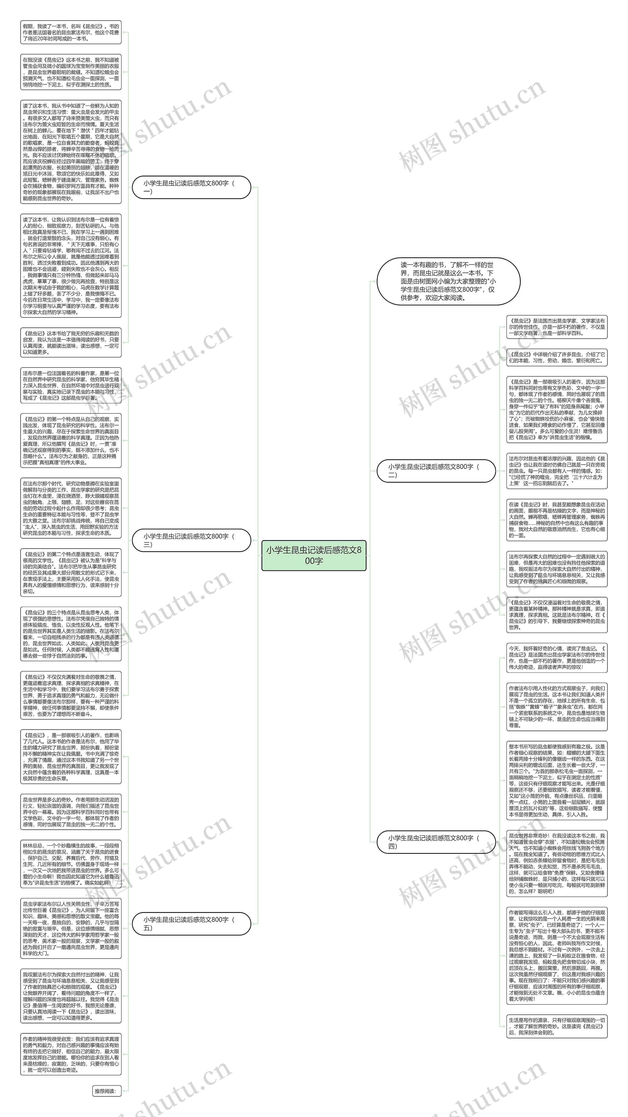 小学生昆虫记读后感范文800字思维导图