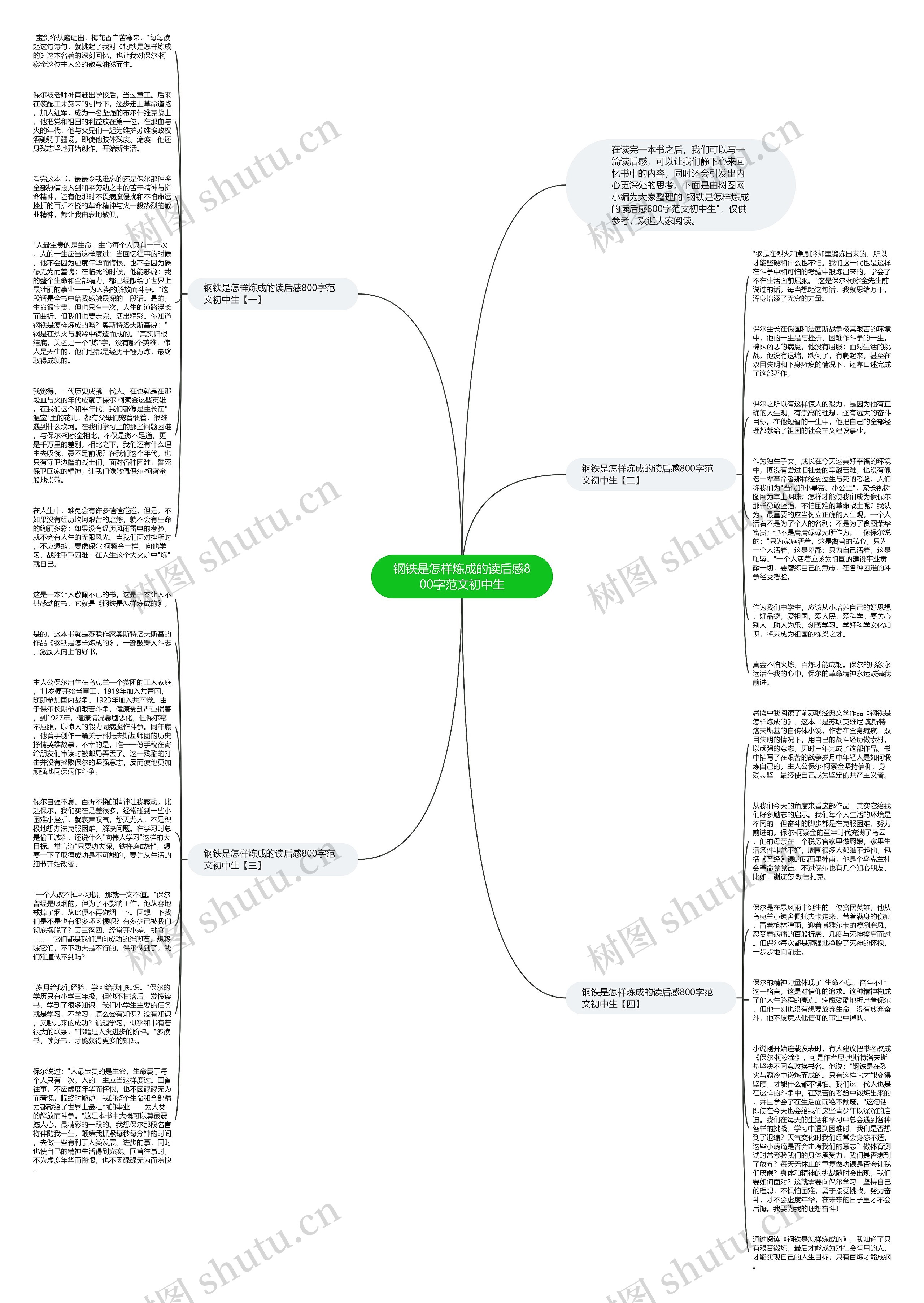 钢铁是怎样炼成的读后感800字范文初中生思维导图