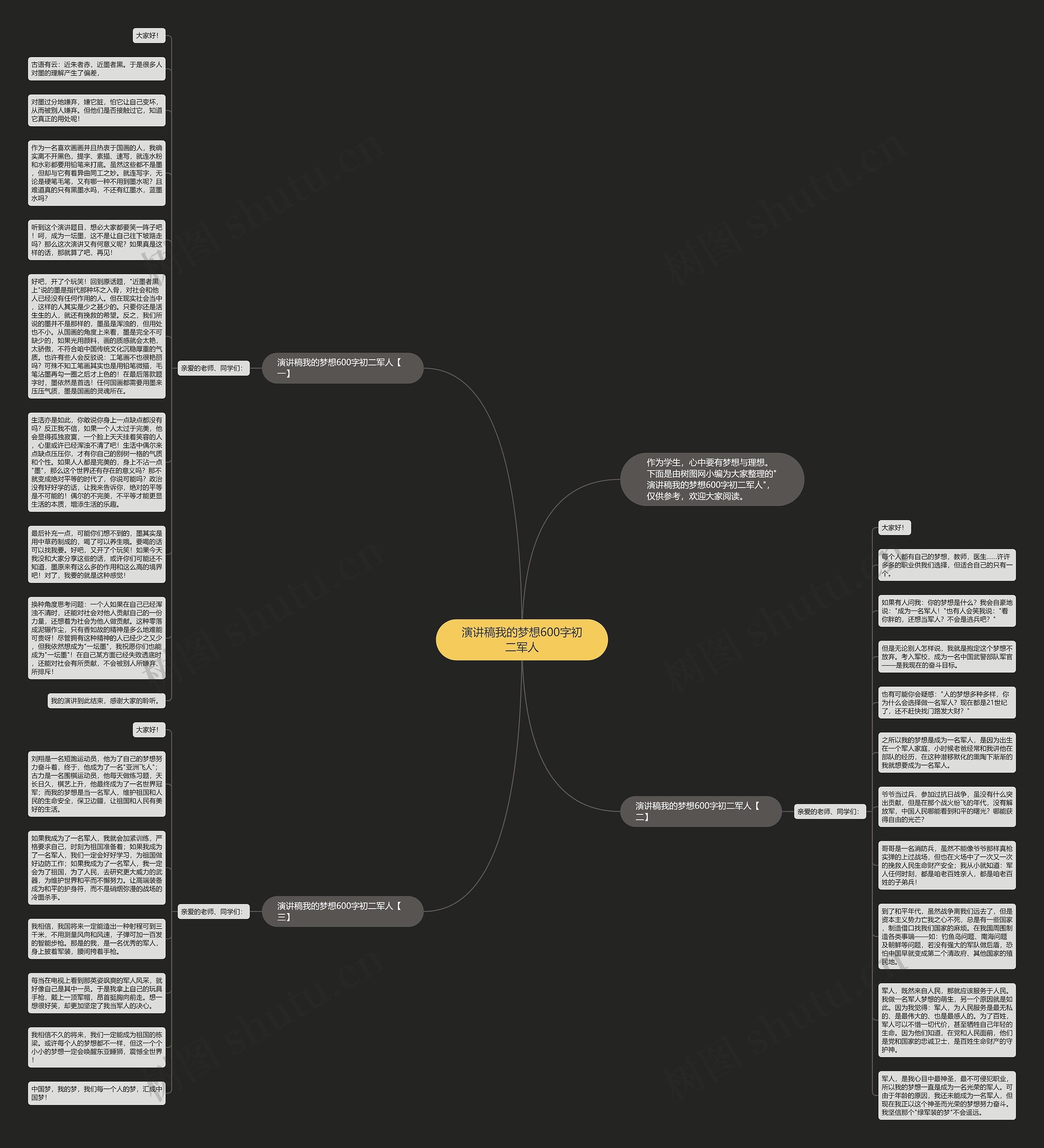 演讲稿我的梦想600字初二军人思维导图