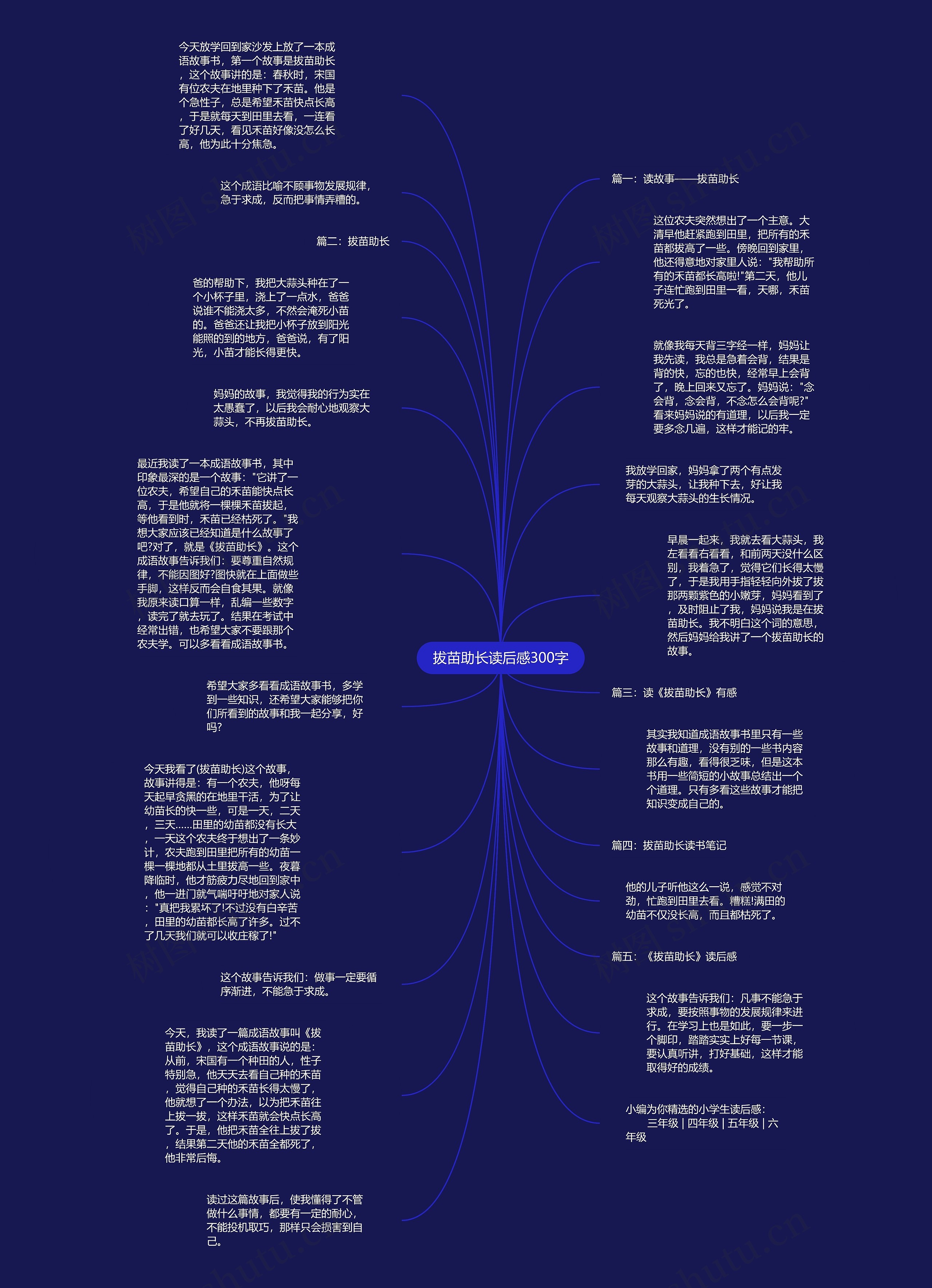 拔苗助长读后感300字思维导图