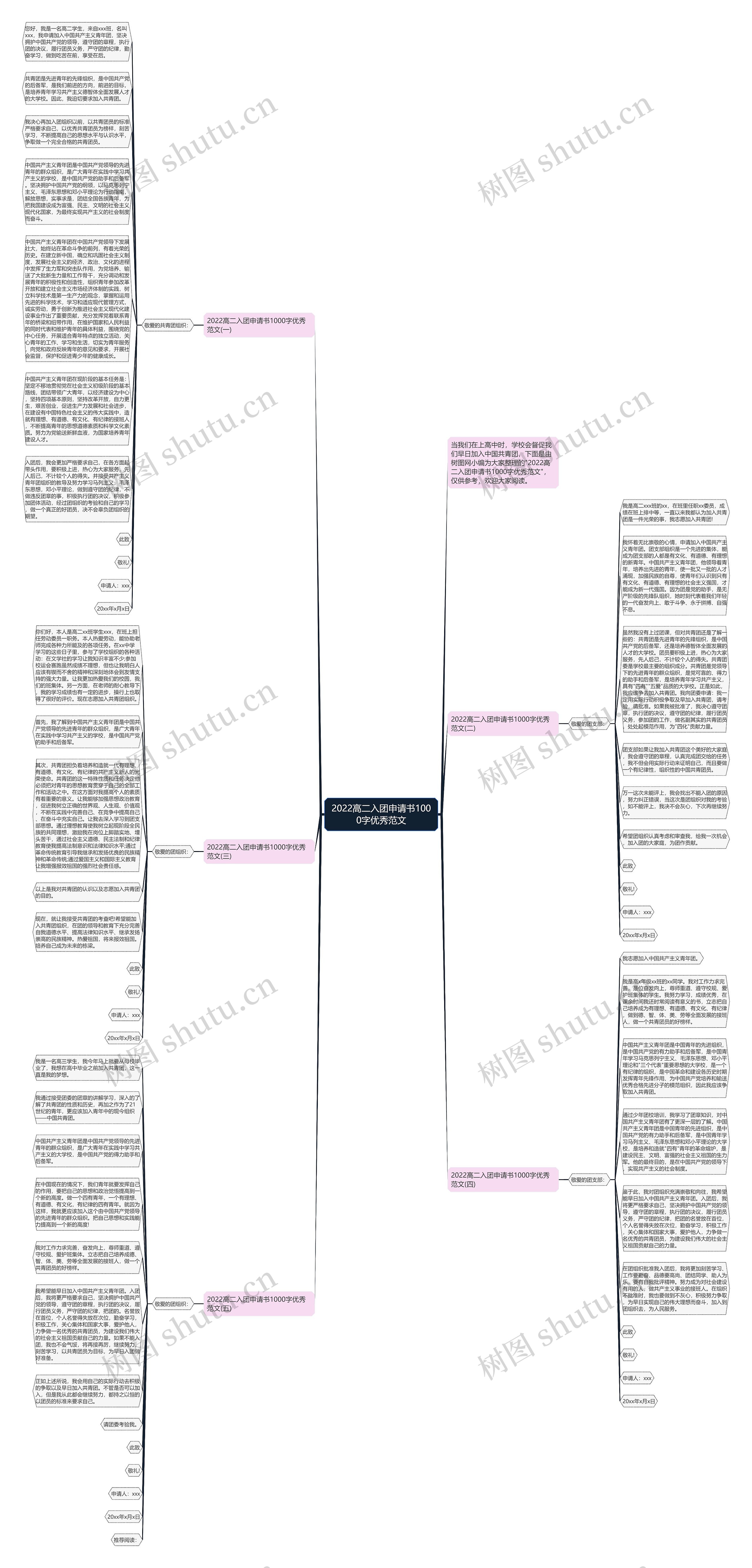 2022高二入团申请书1000字优秀范文思维导图