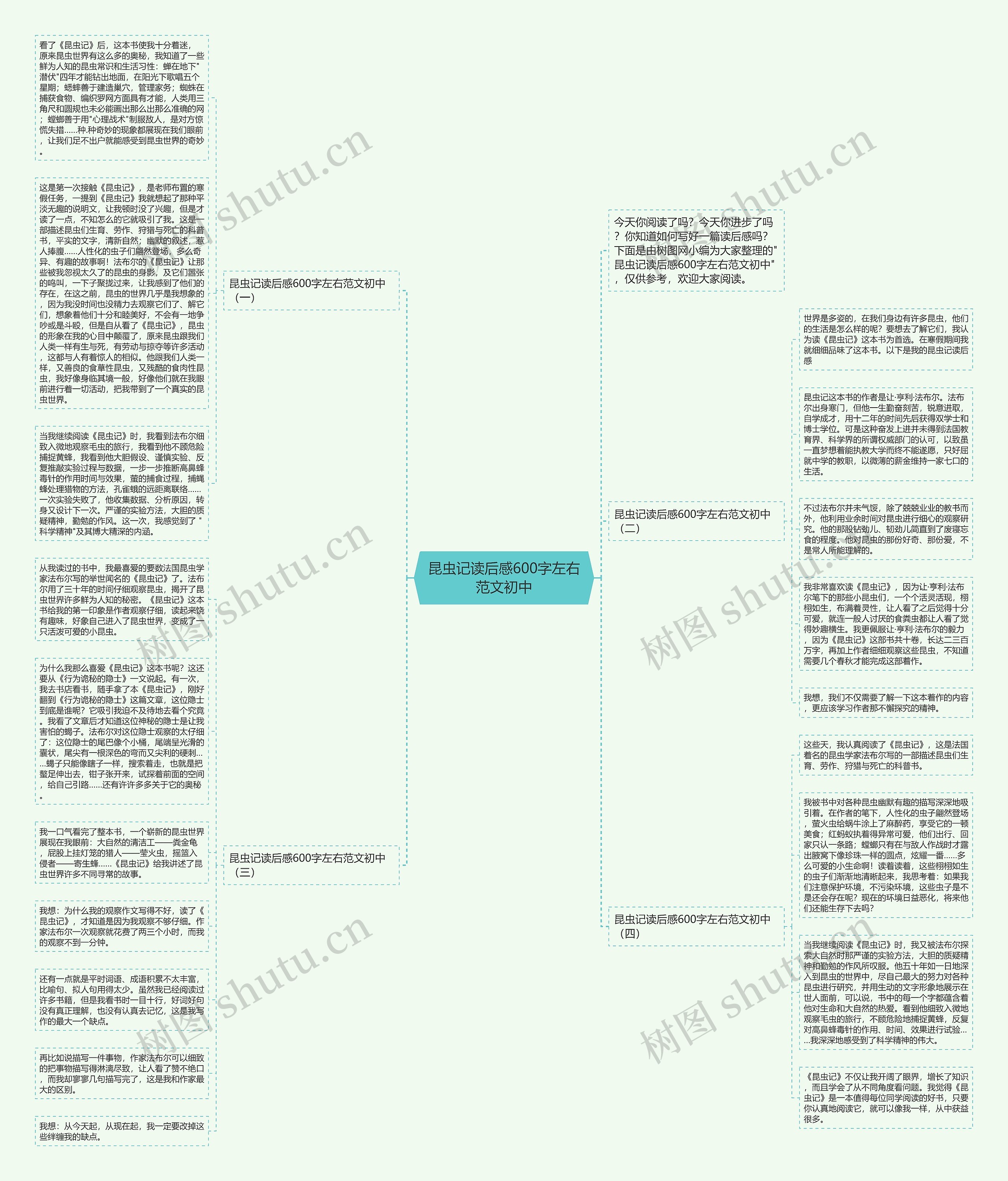 昆虫记读后感600字左右范文初中思维导图