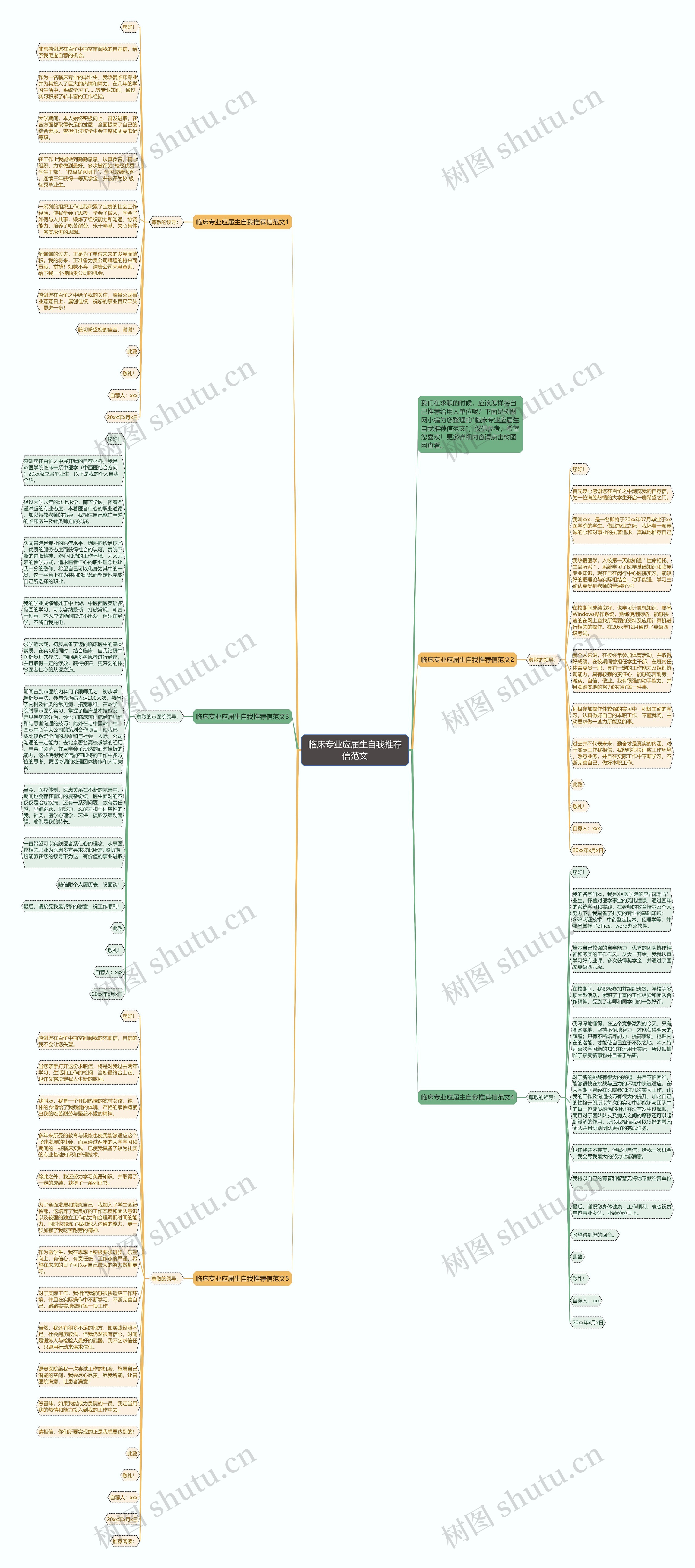 临床专业应届生自我推荐信范文思维导图
