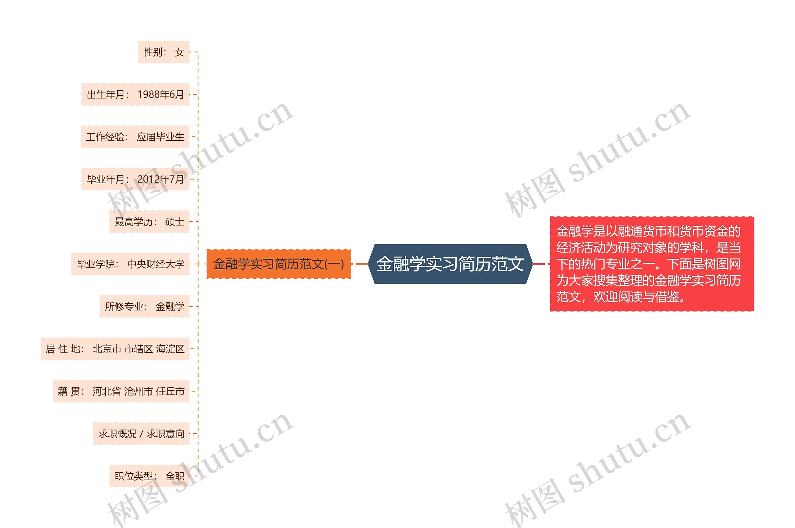 金融学实习简历范文思维导图