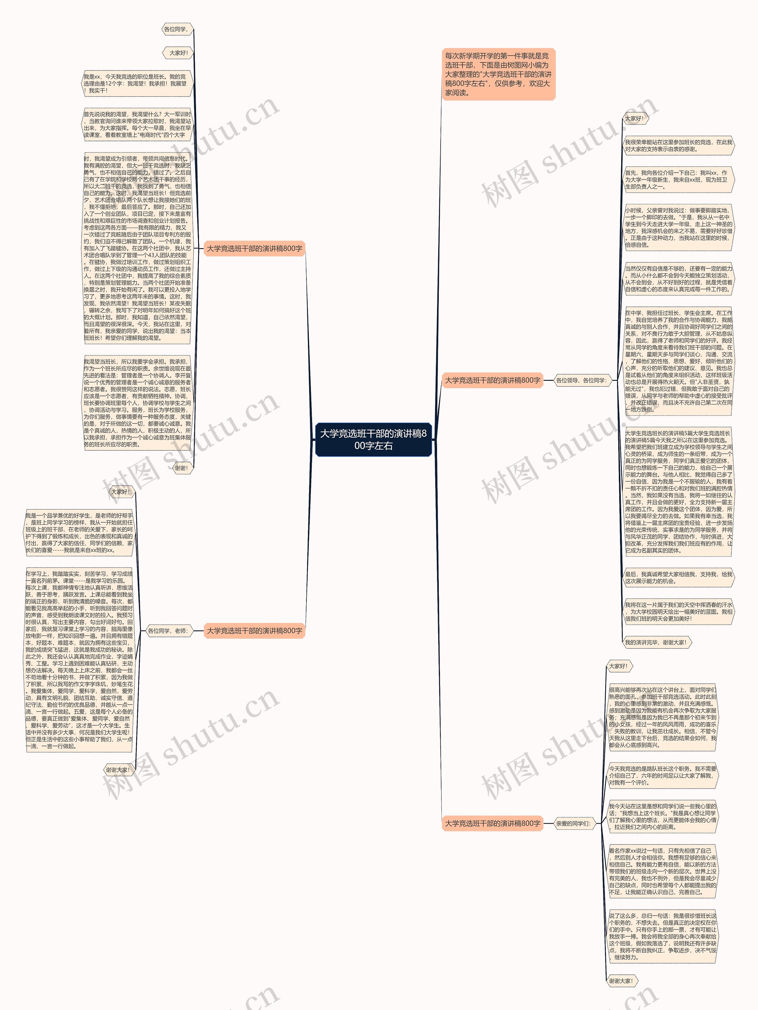 大学竞选班干部的演讲稿800字左右思维导图