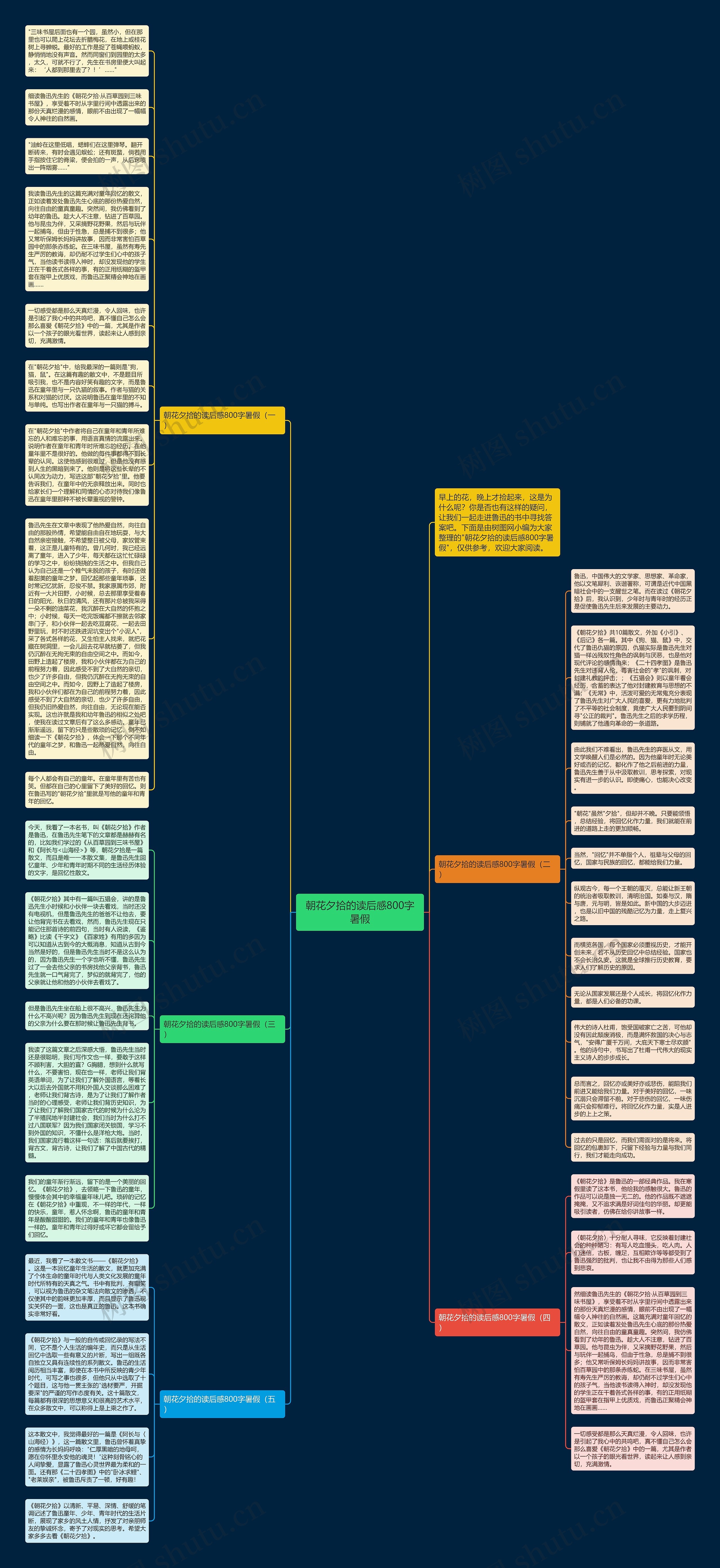 朝花夕拾的读后感800字暑假思维导图