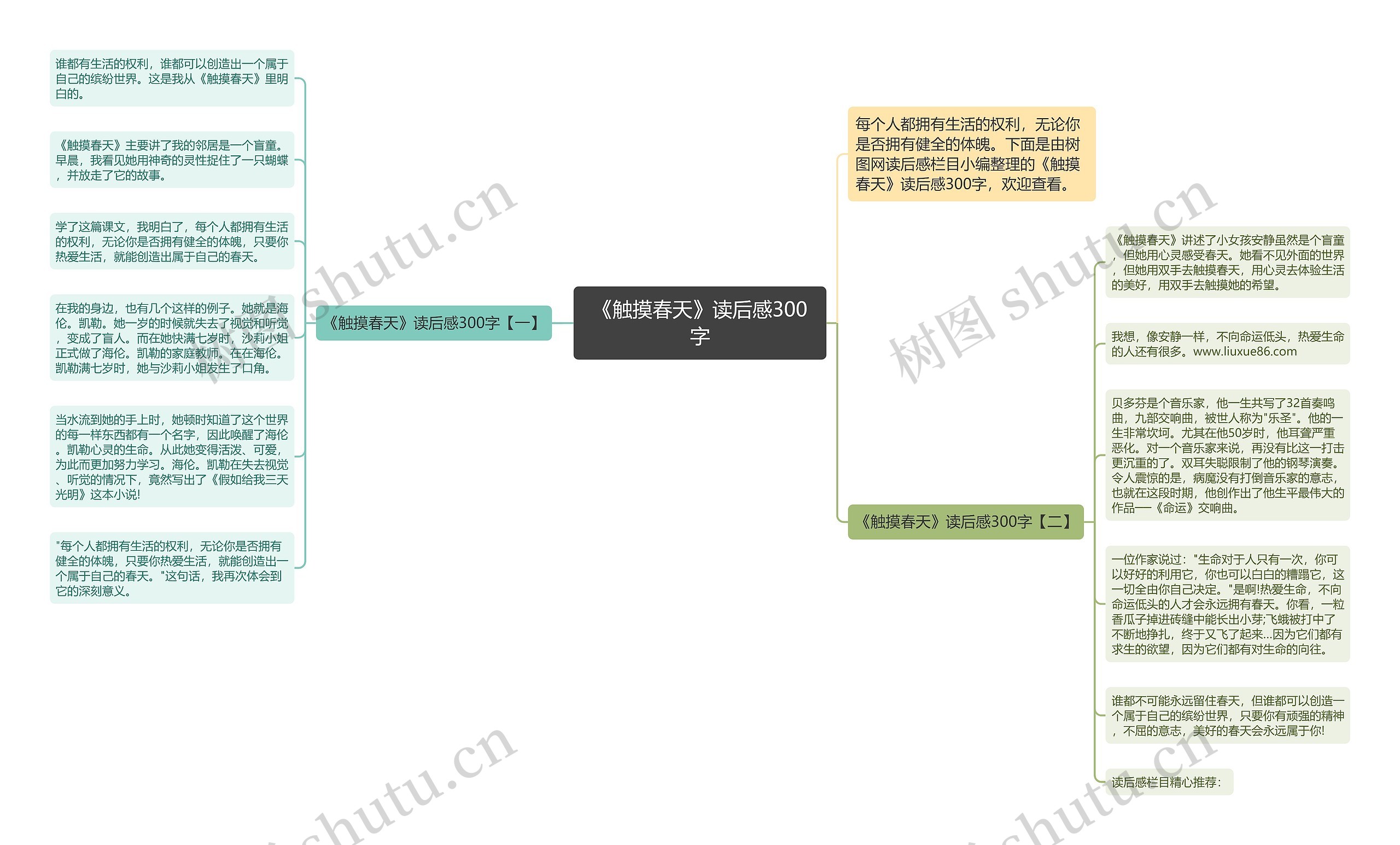 《触摸春天》读后感300字思维导图