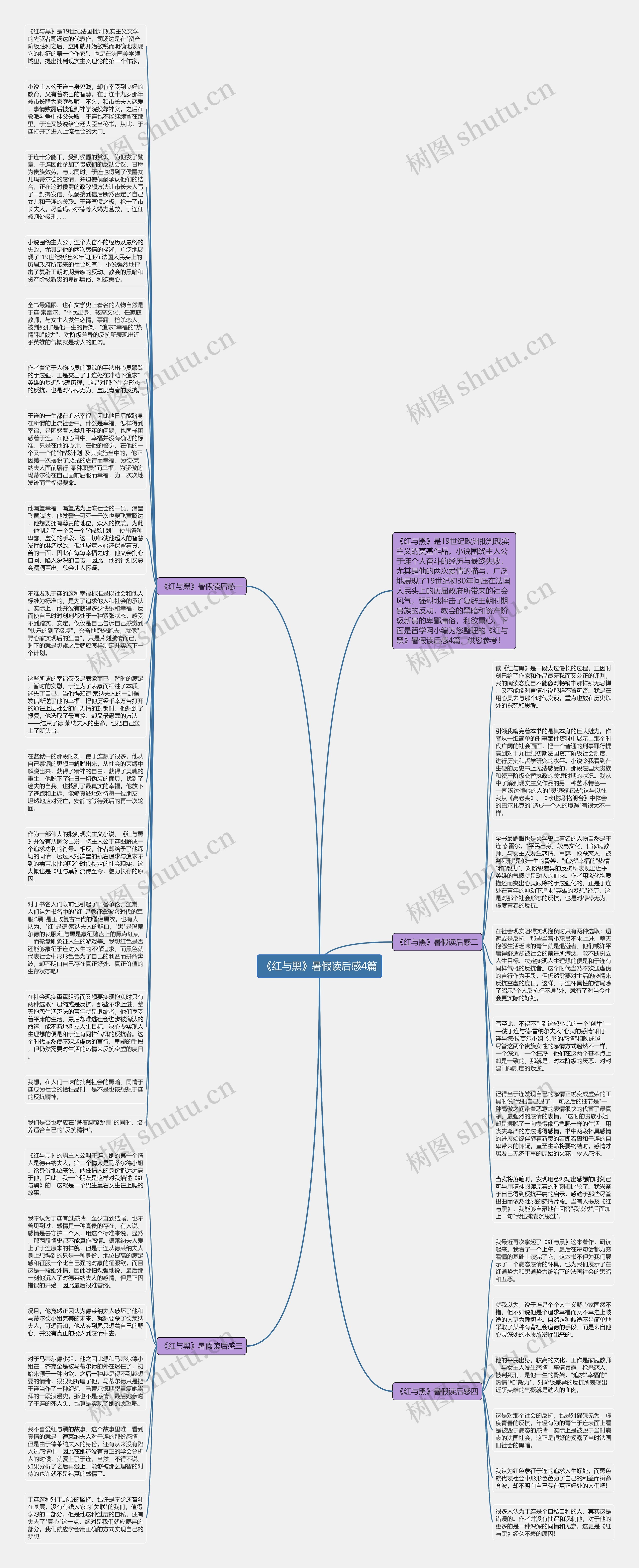 《红与黑》暑假读后感4篇思维导图