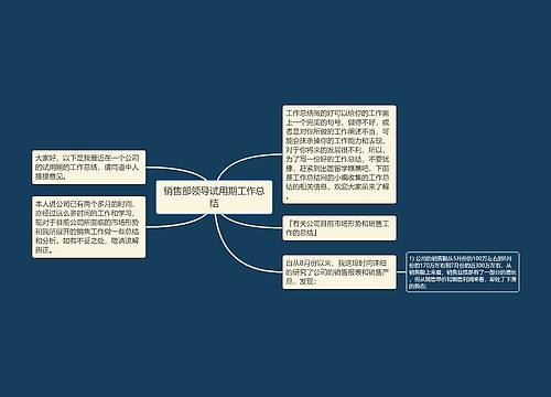 销售部领导试用期工作总结