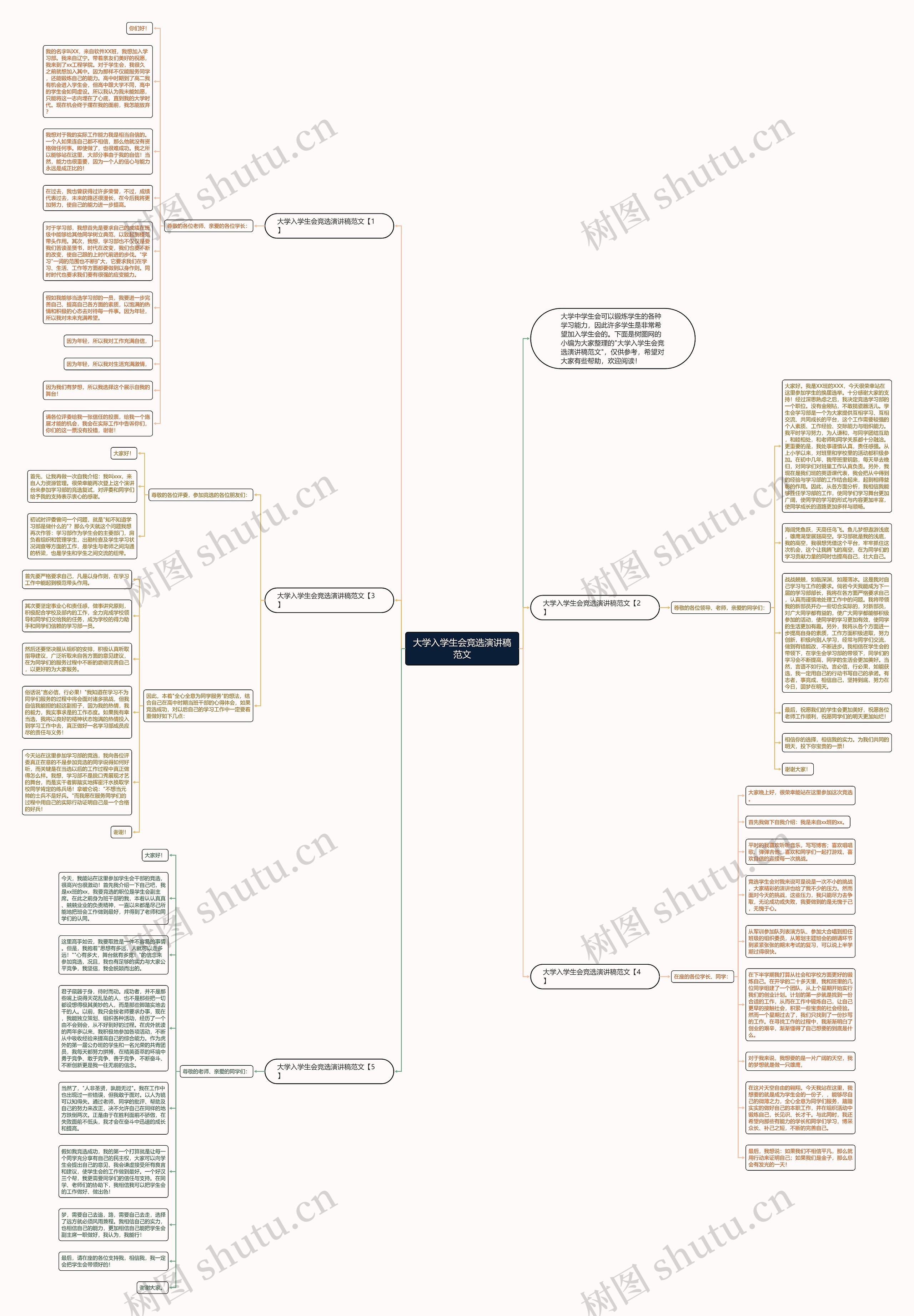 大学入学生会竞选演讲稿范文思维导图
