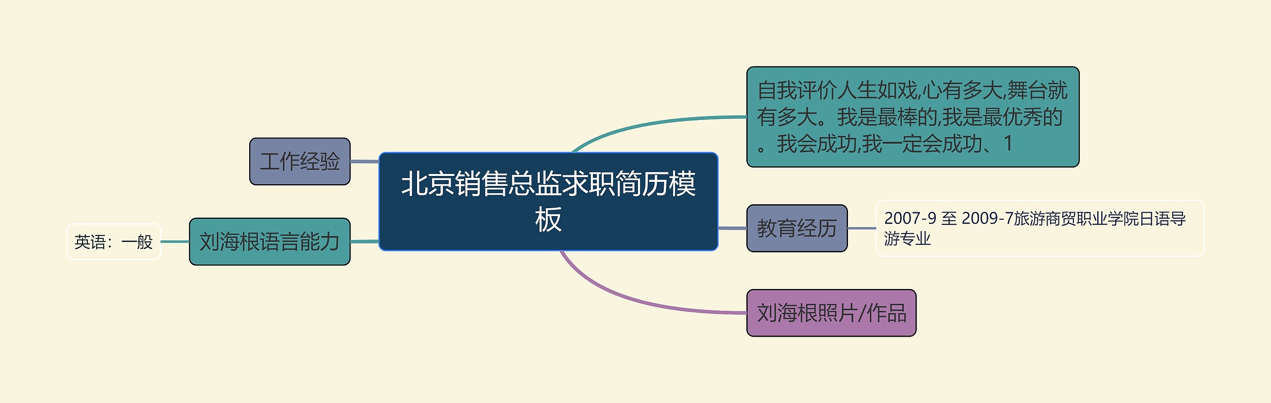 北京销售总监求职简历模板