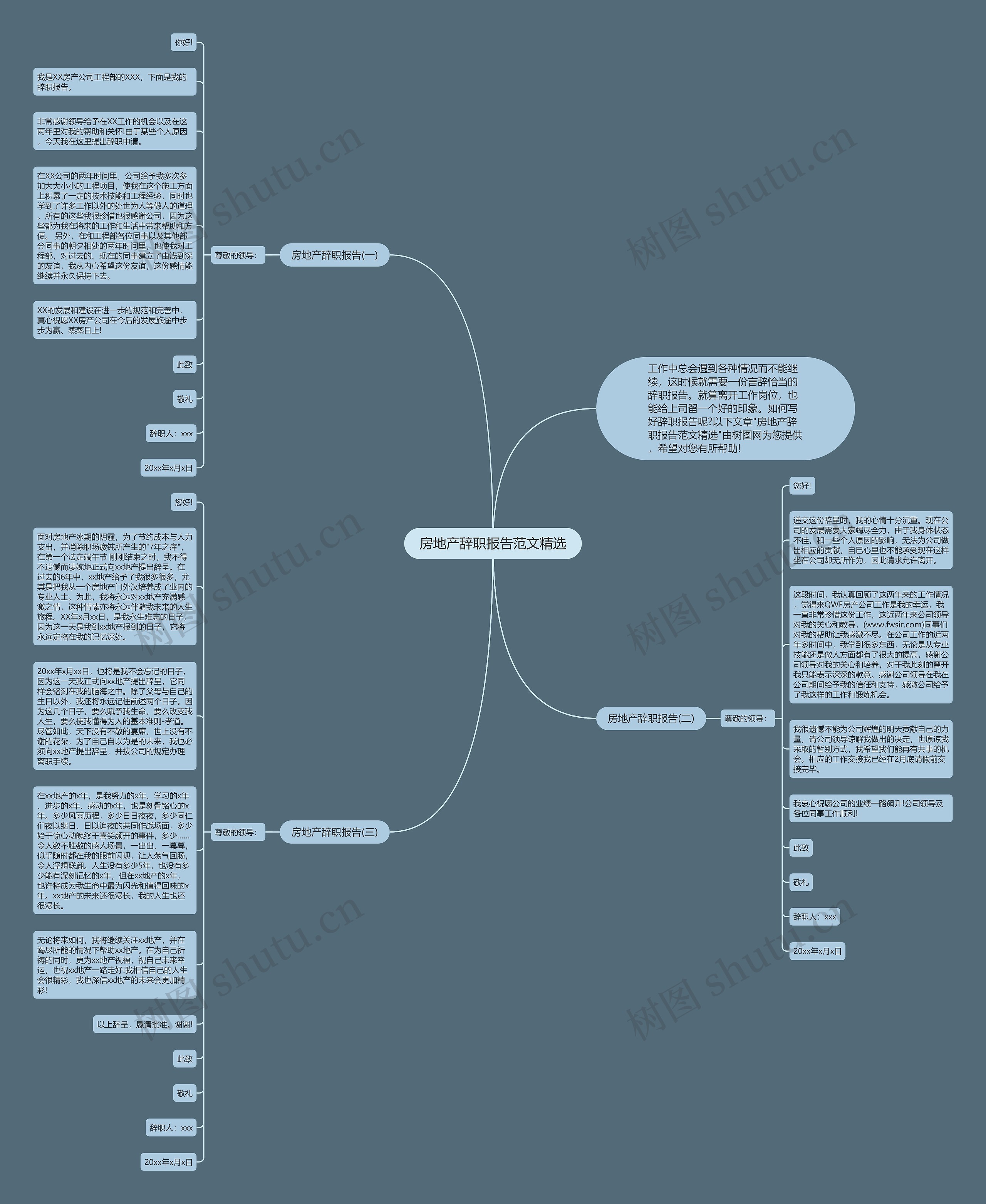 房地产辞职报告范文精选思维导图