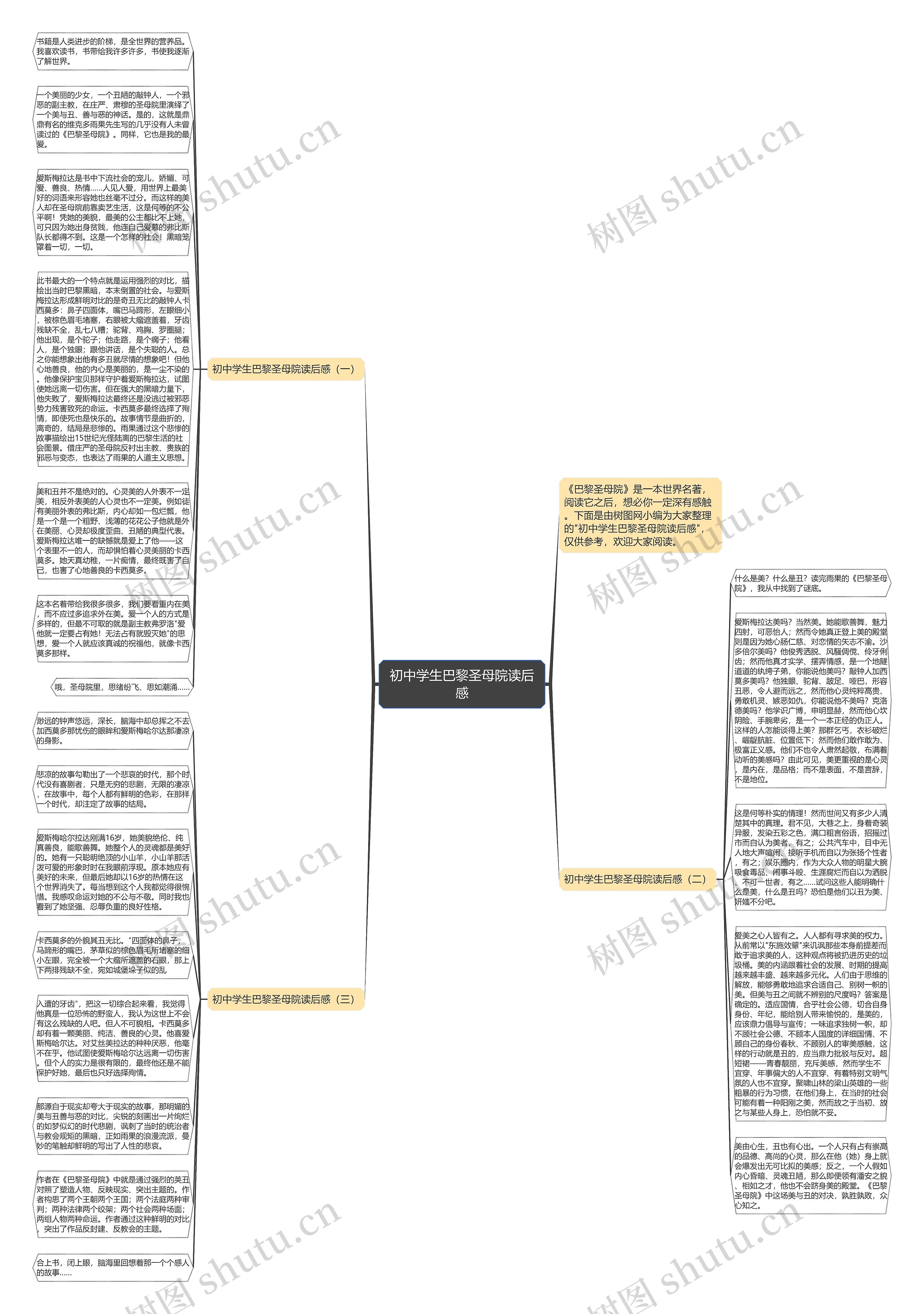 初中学生巴黎圣母院读后感思维导图