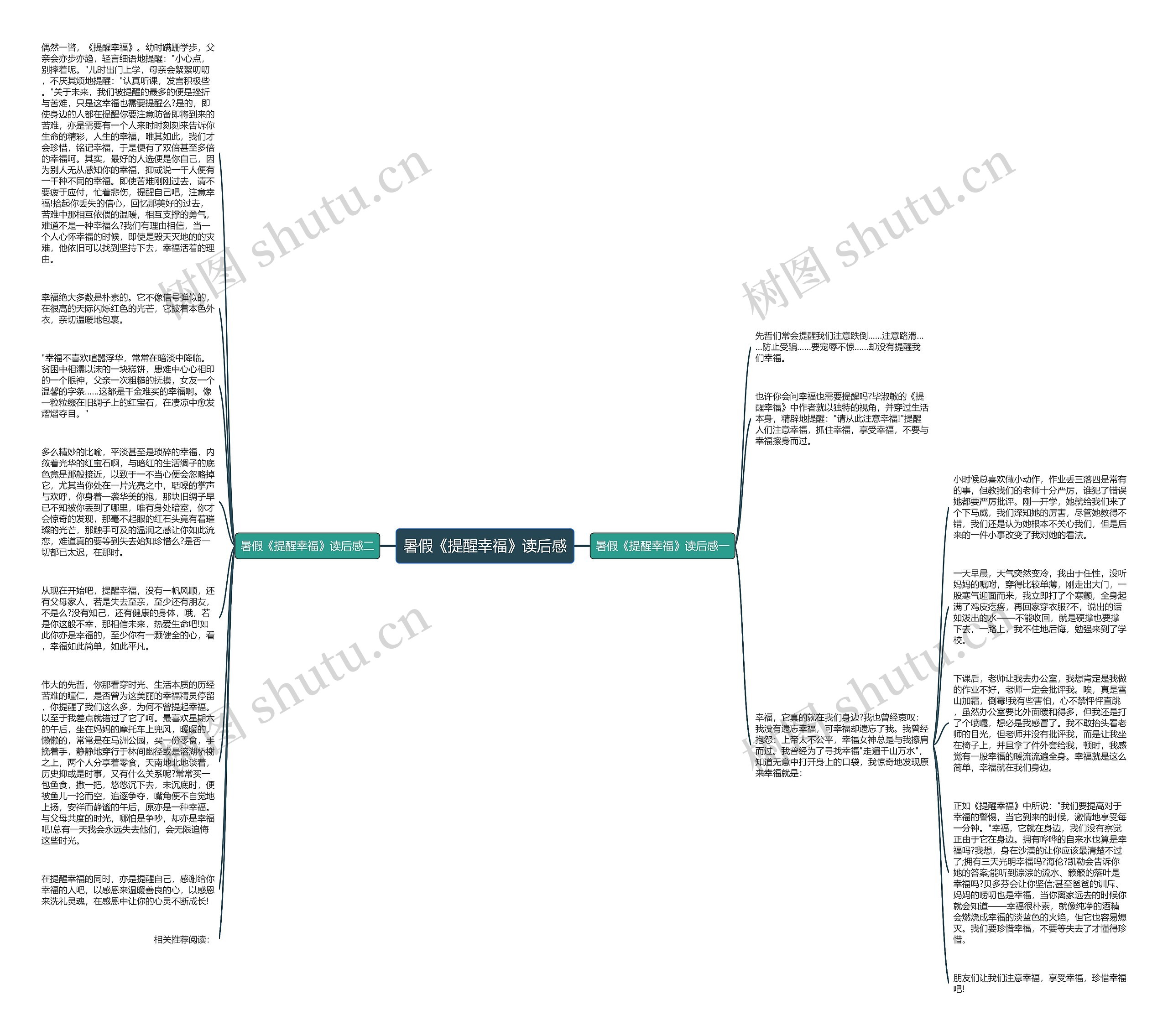 暑假《提醒幸福》读后感思维导图