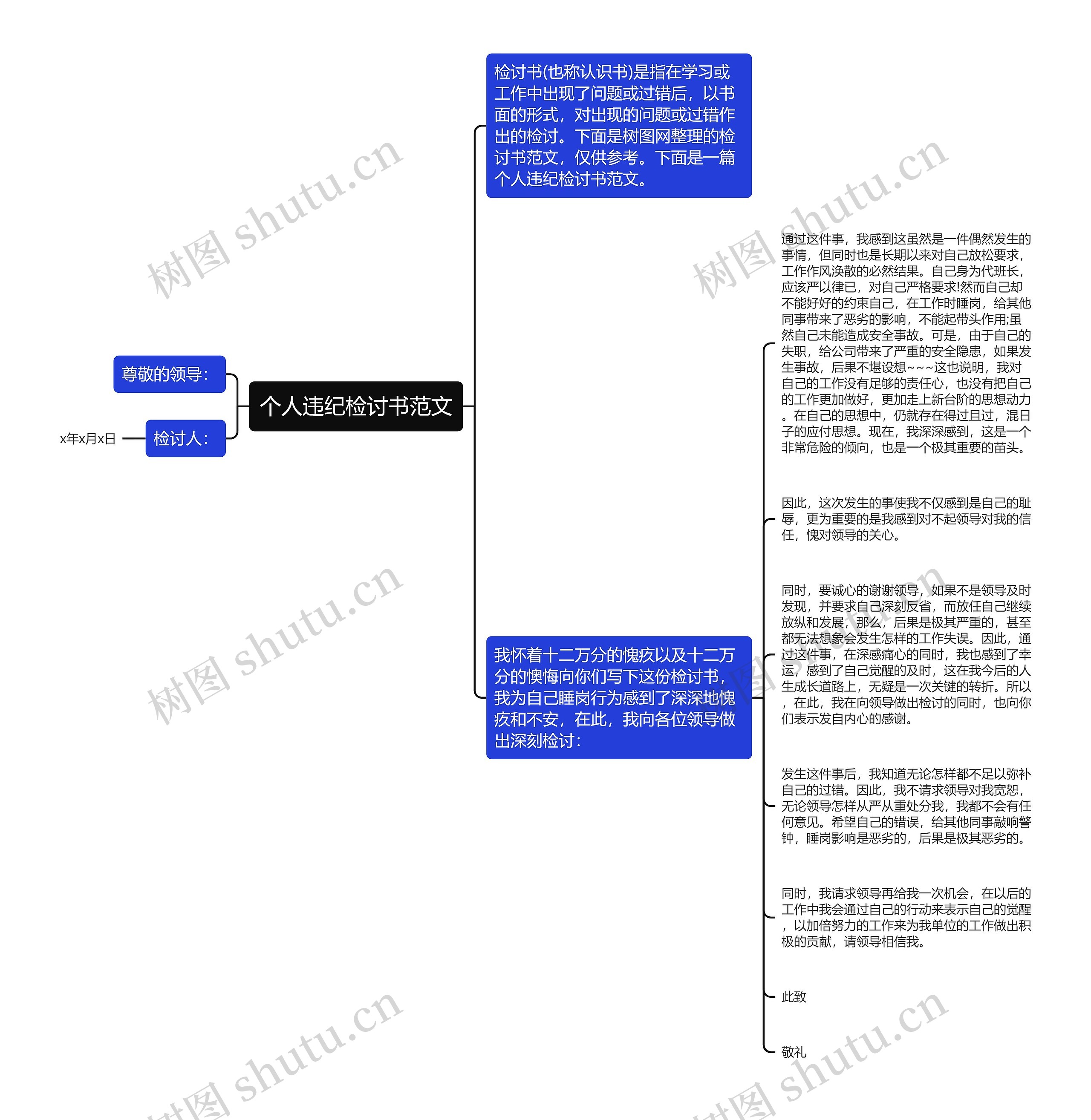 个人违纪检讨书范文思维导图