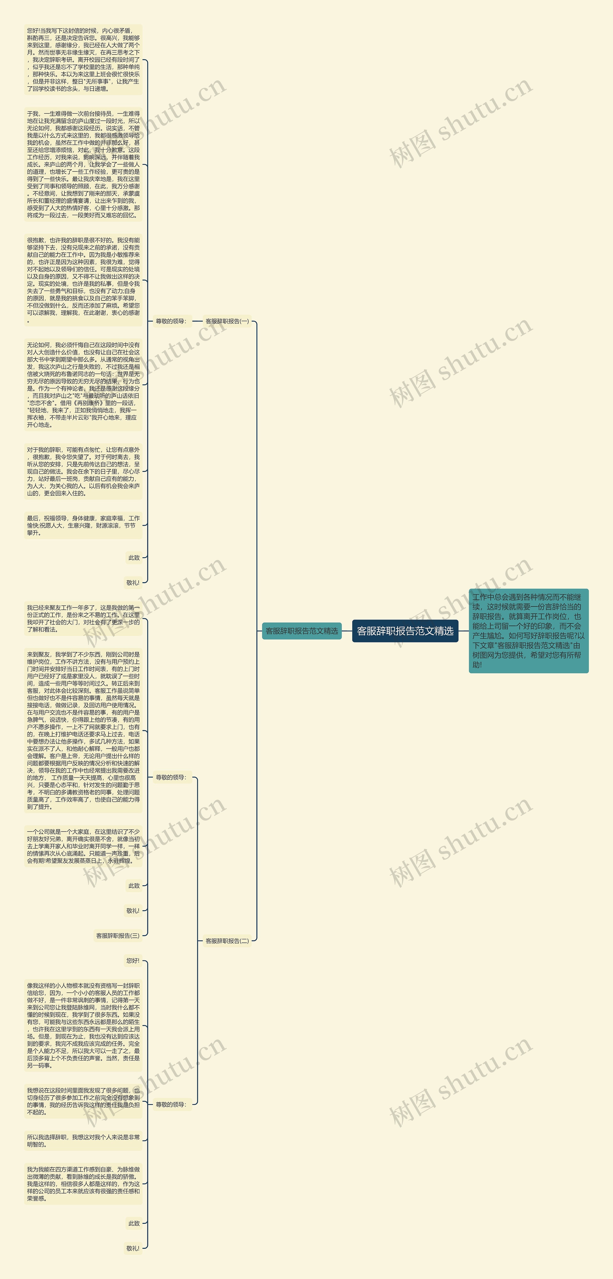 客服辞职报告范文精选思维导图