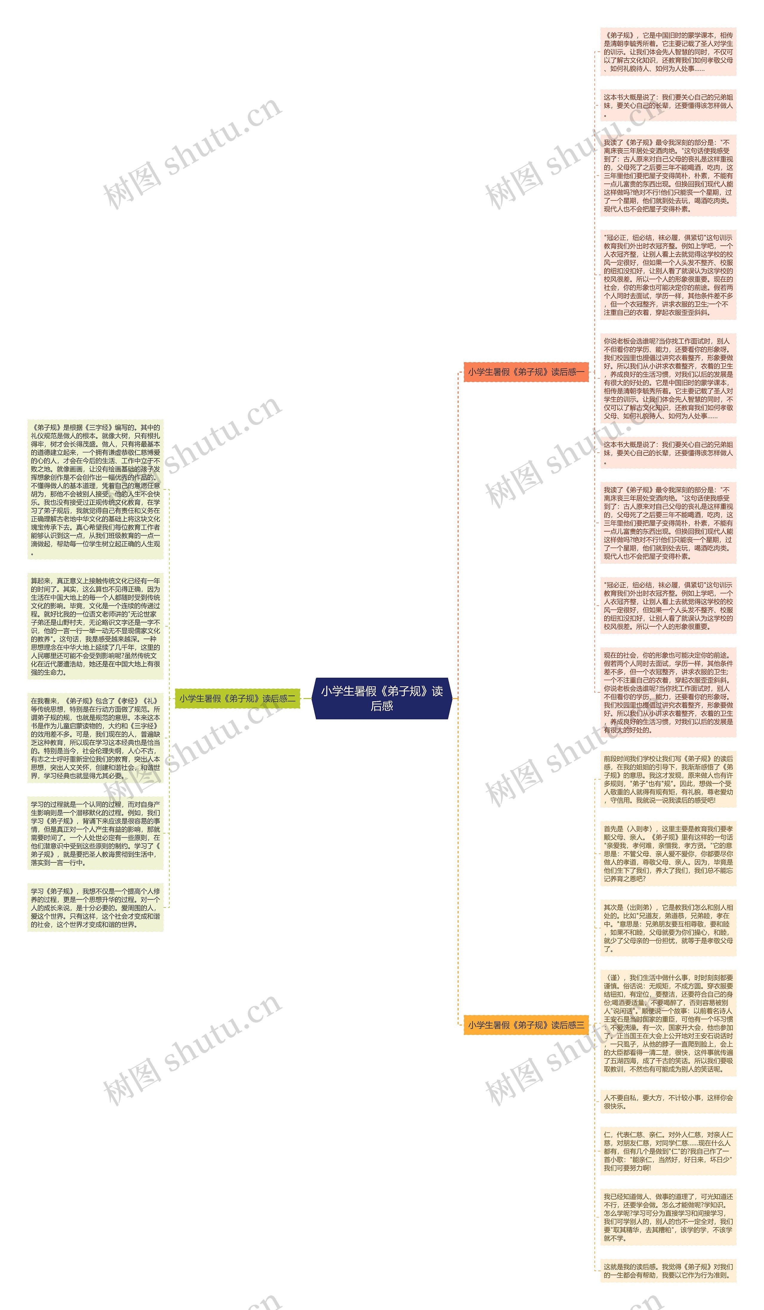 小学生暑假《弟子规》读后感思维导图