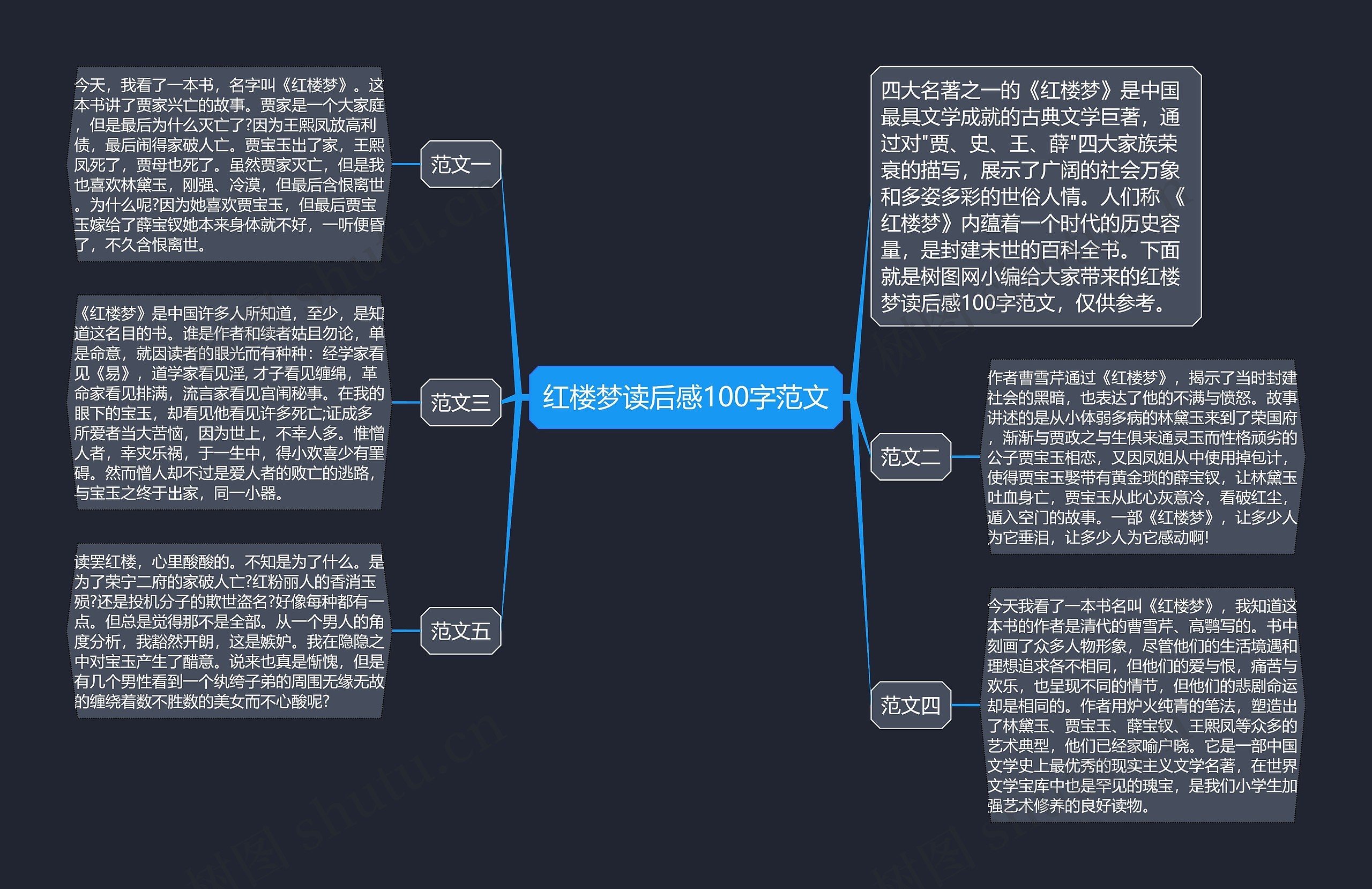 红楼梦读后感100字范文思维导图