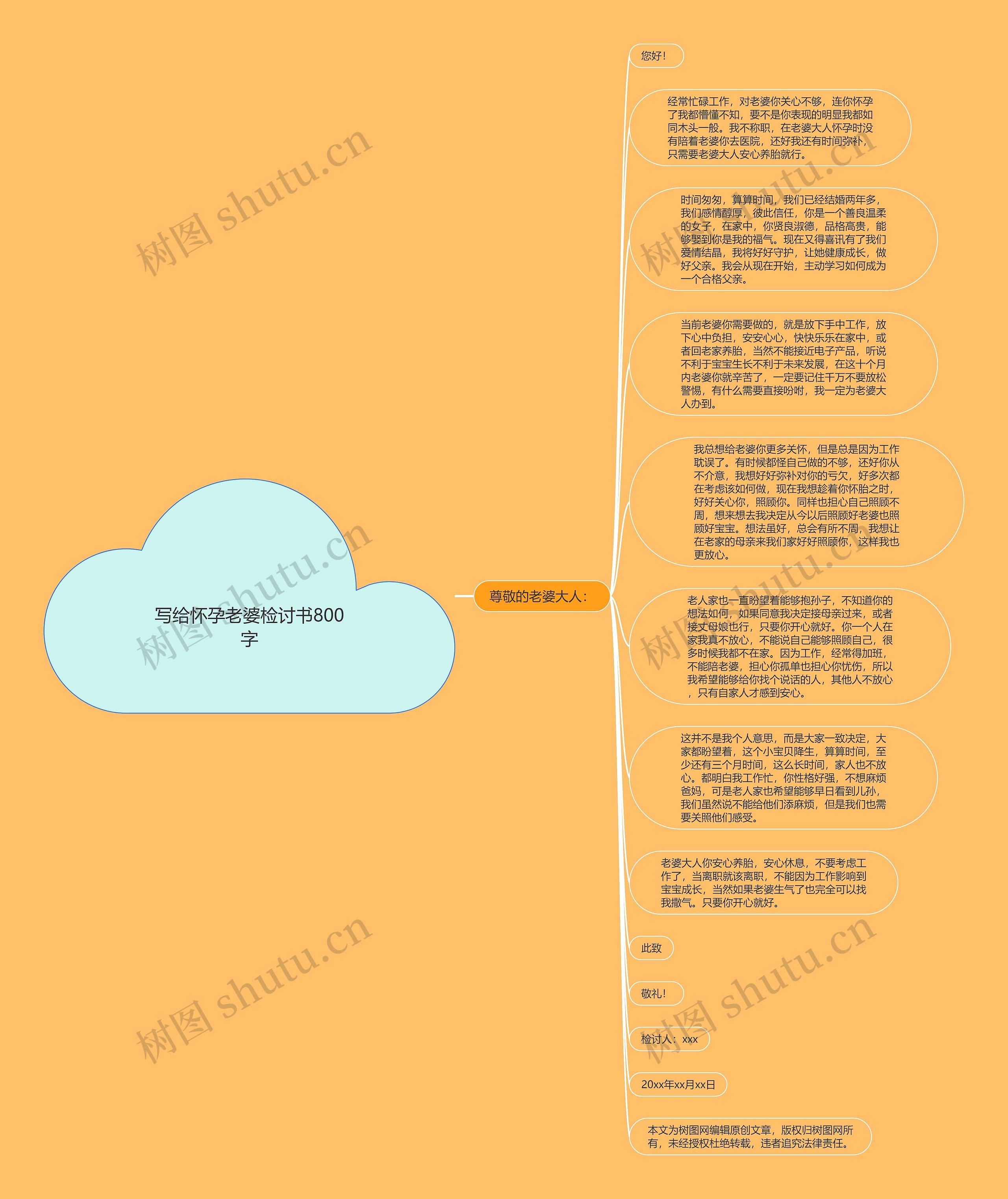 写给怀孕老婆检讨书800字思维导图