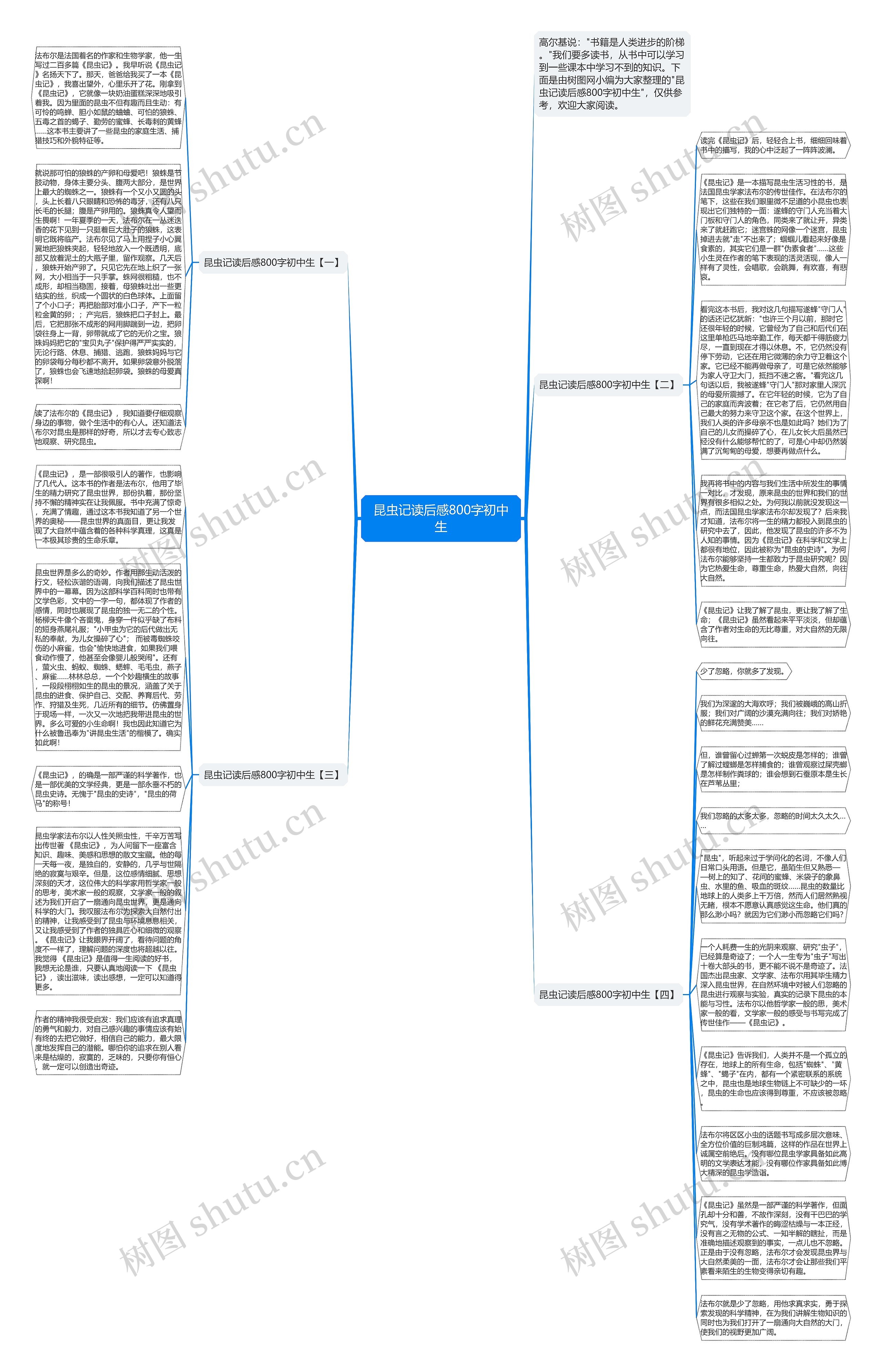 昆虫记读后感800字初中生思维导图