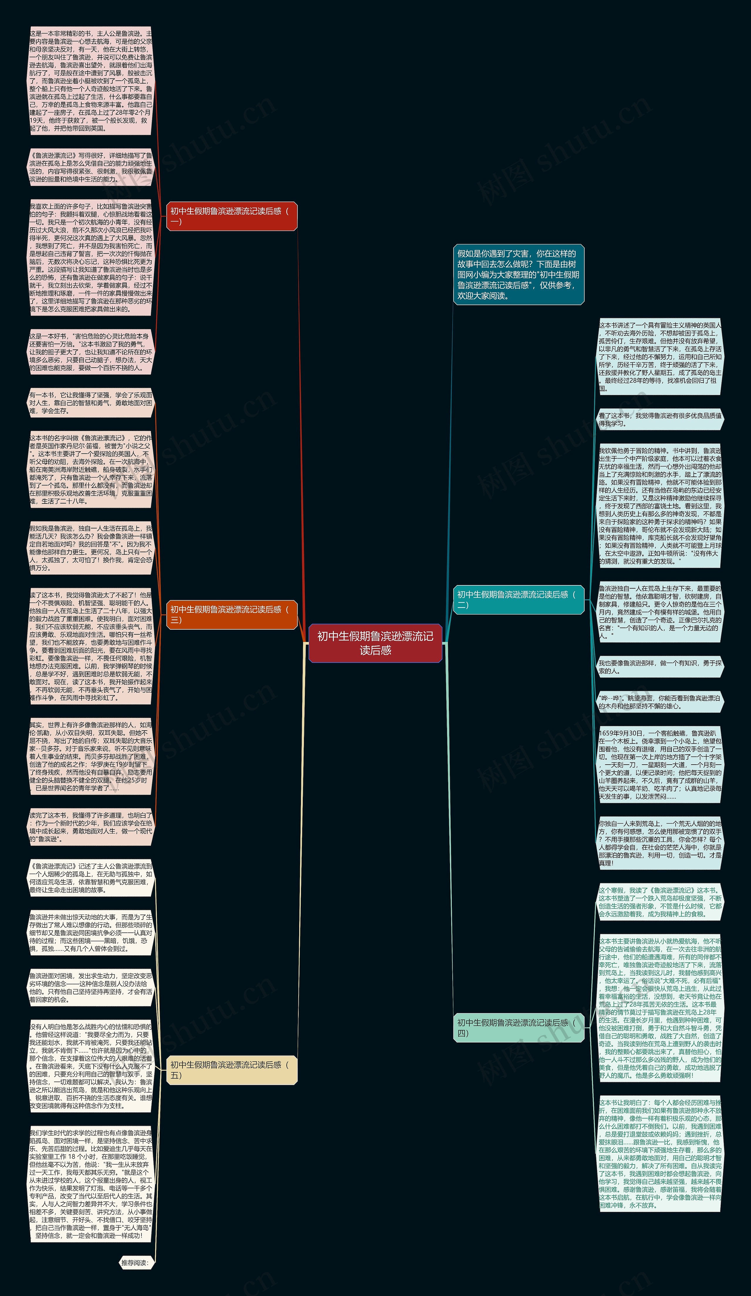 初中生假期鲁滨逊漂流记读后感思维导图