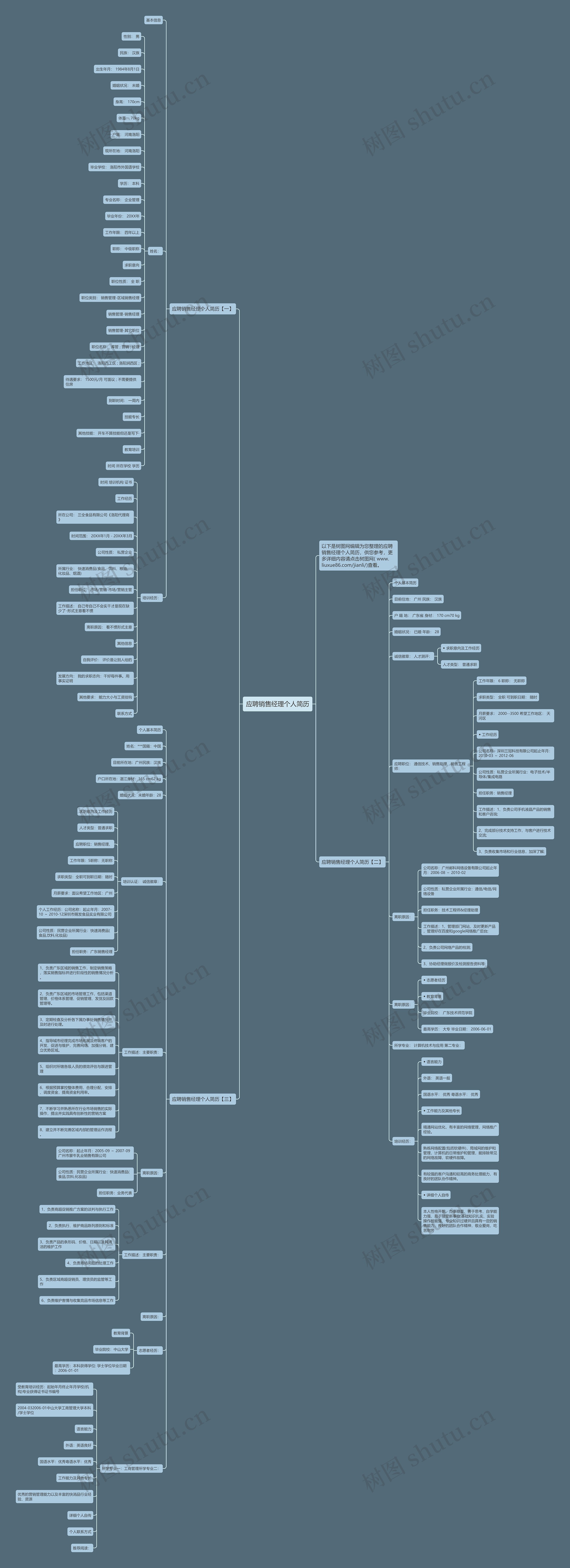 应聘销售经理个人简历思维导图