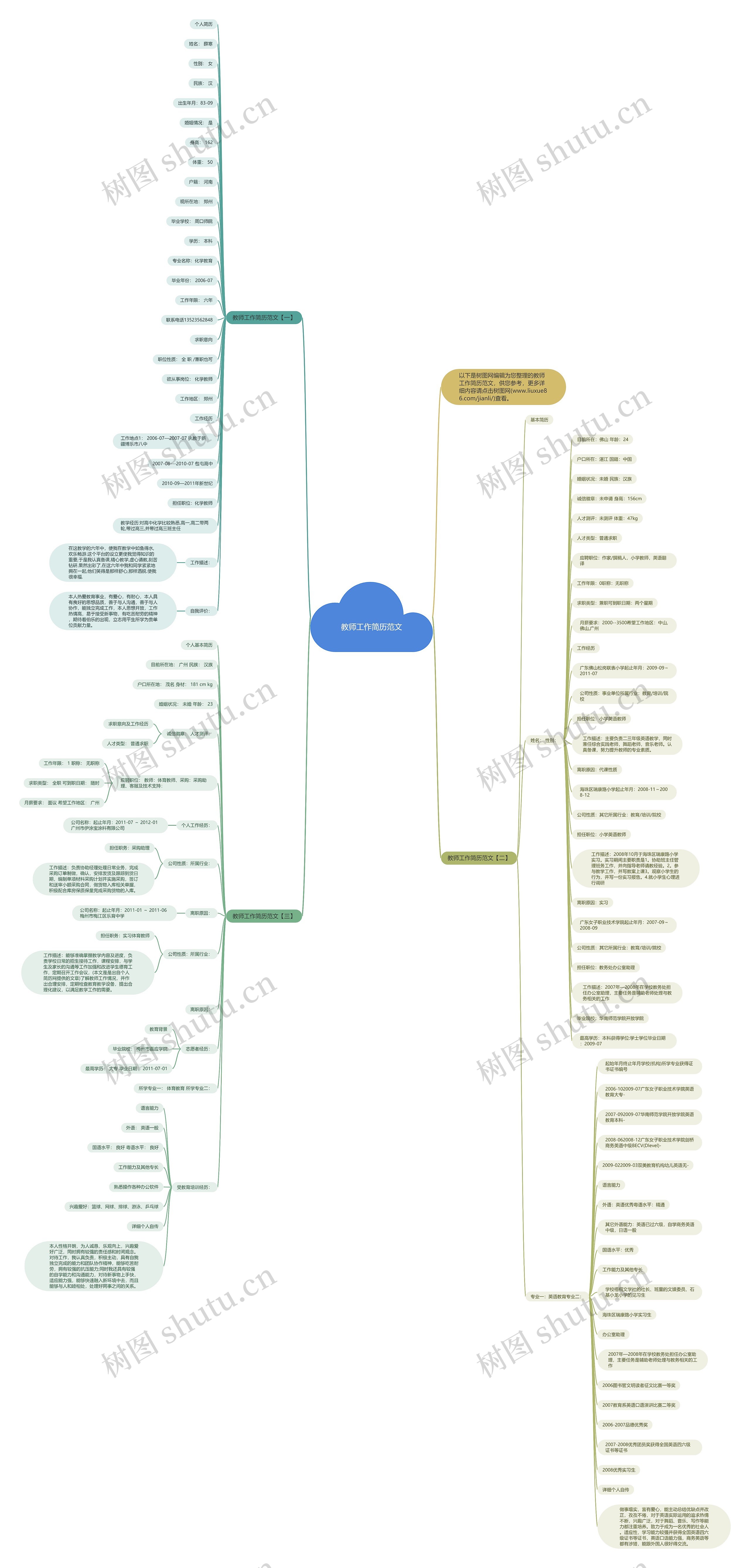教师工作简历范文思维导图