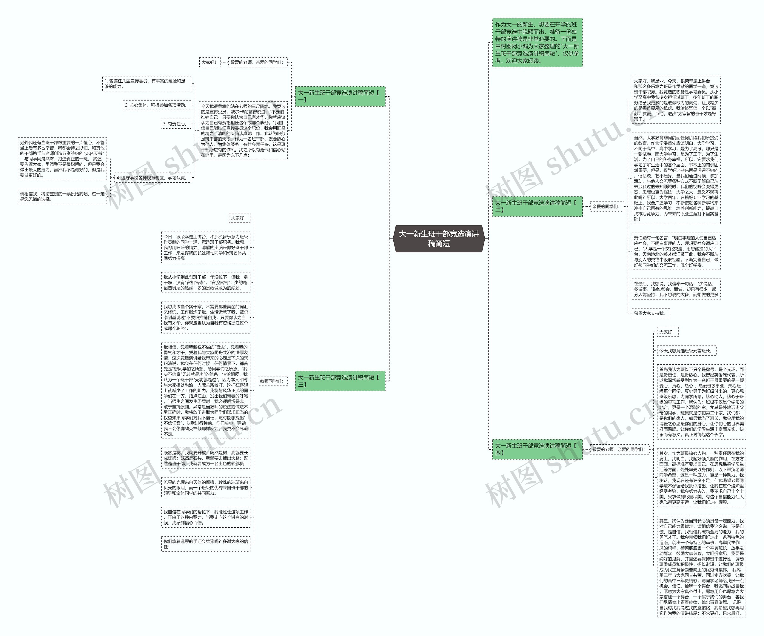 大一新生班干部竞选演讲稿简短思维导图