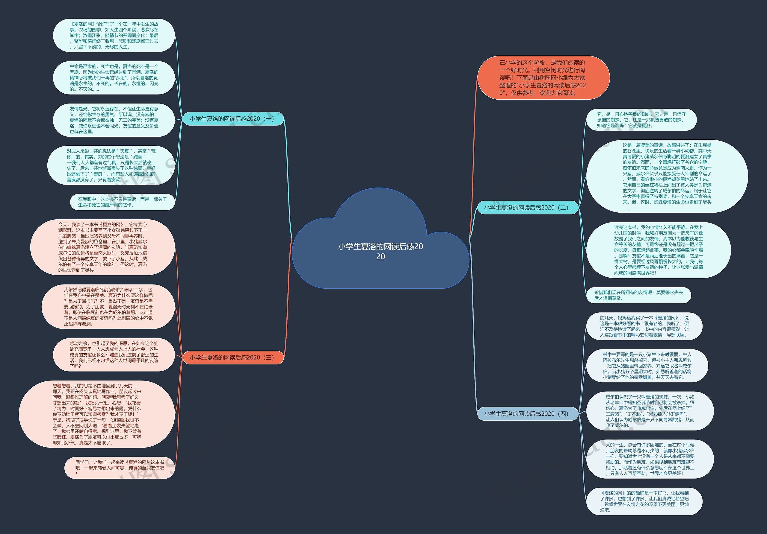 小学生夏洛的网读后感2020思维导图