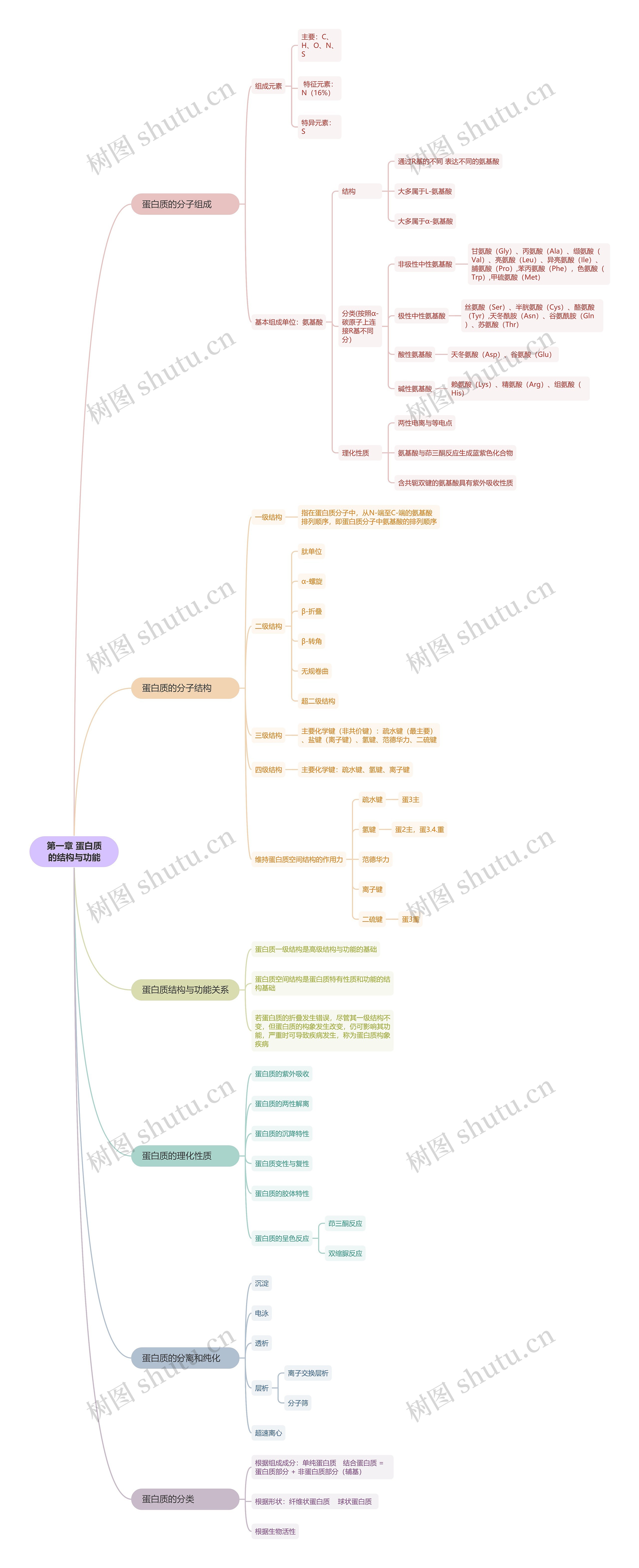 第一章 蛋白质的结构与功能思维导图