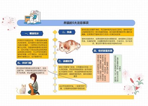 养猫的5大注意事项