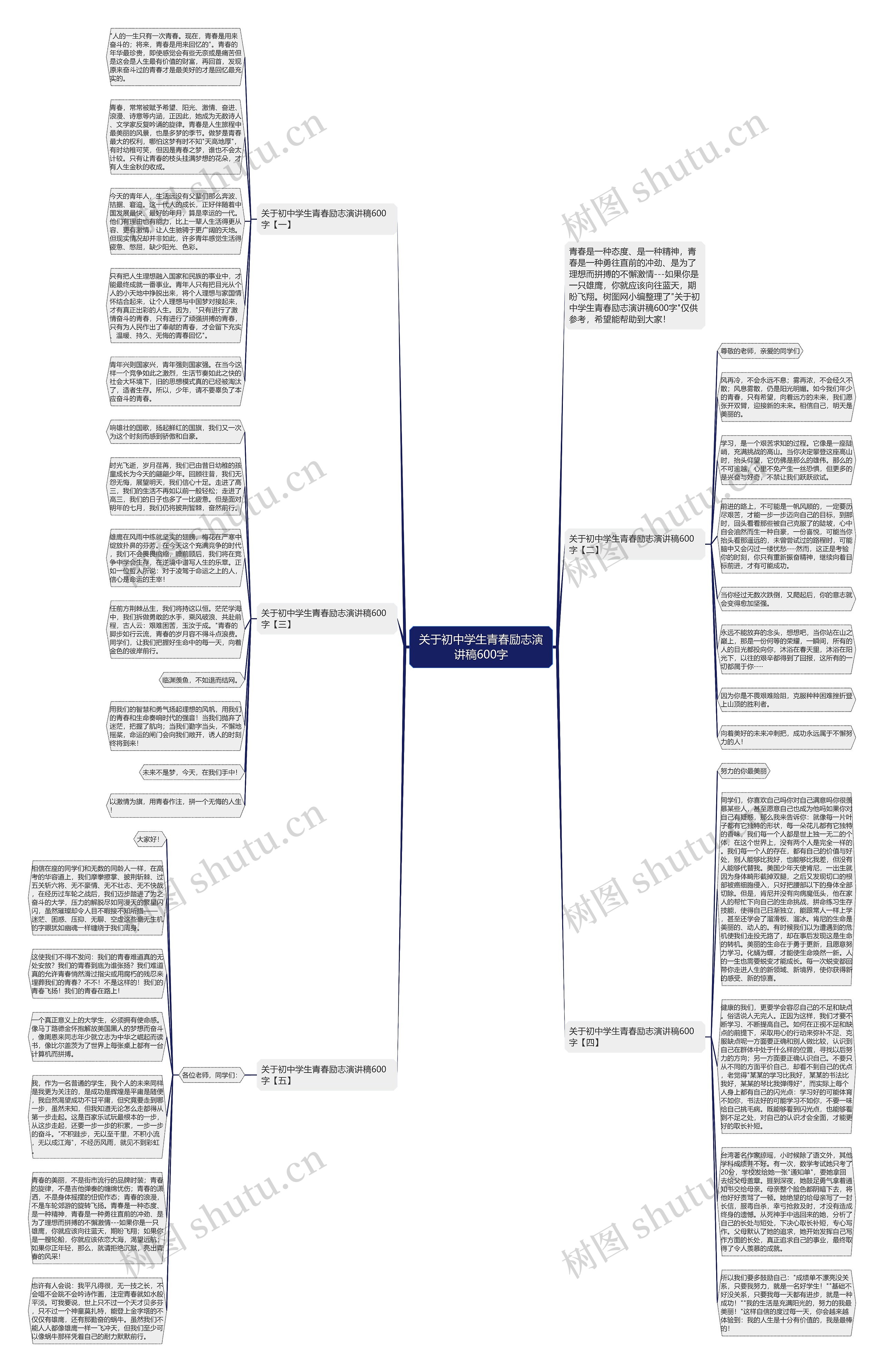 关于初中学生青春励志演讲稿600字思维导图