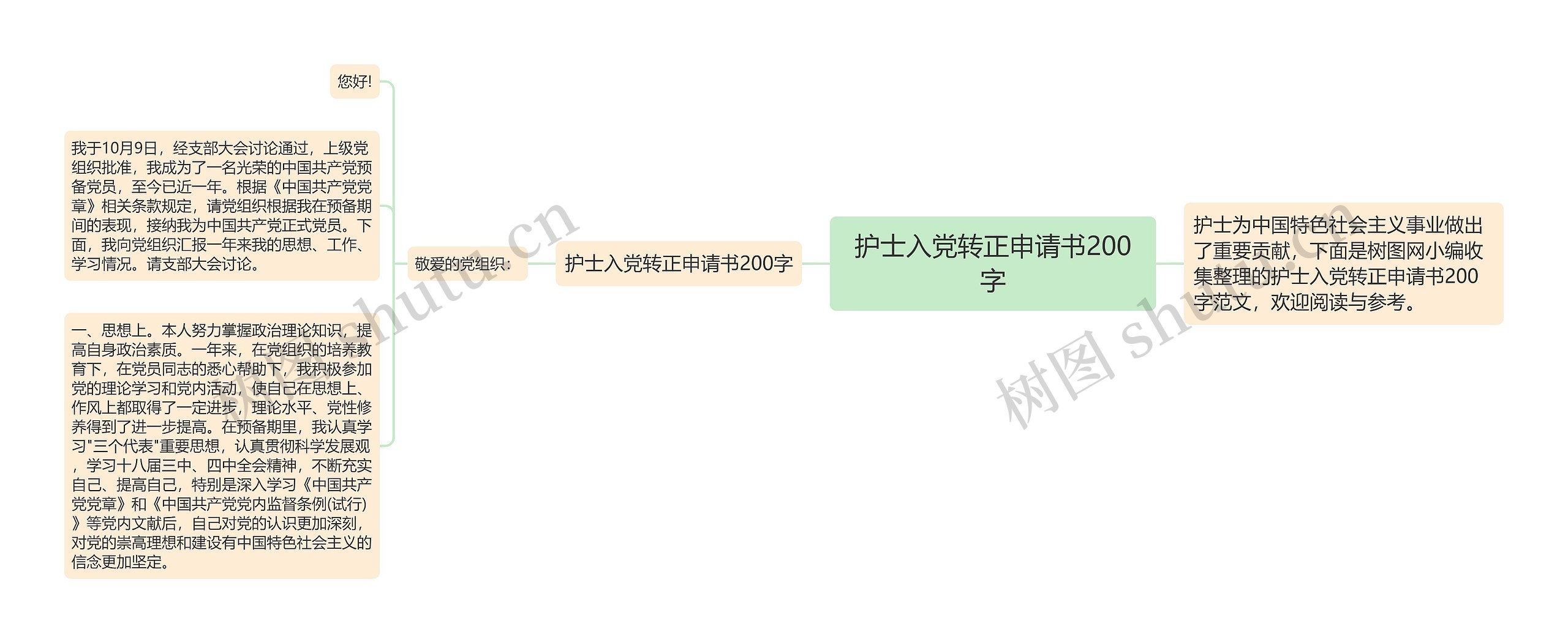 护士入党转正申请书200字