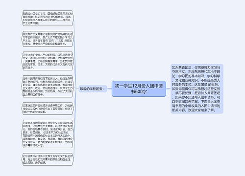 初一学生12月份入团申请书600字