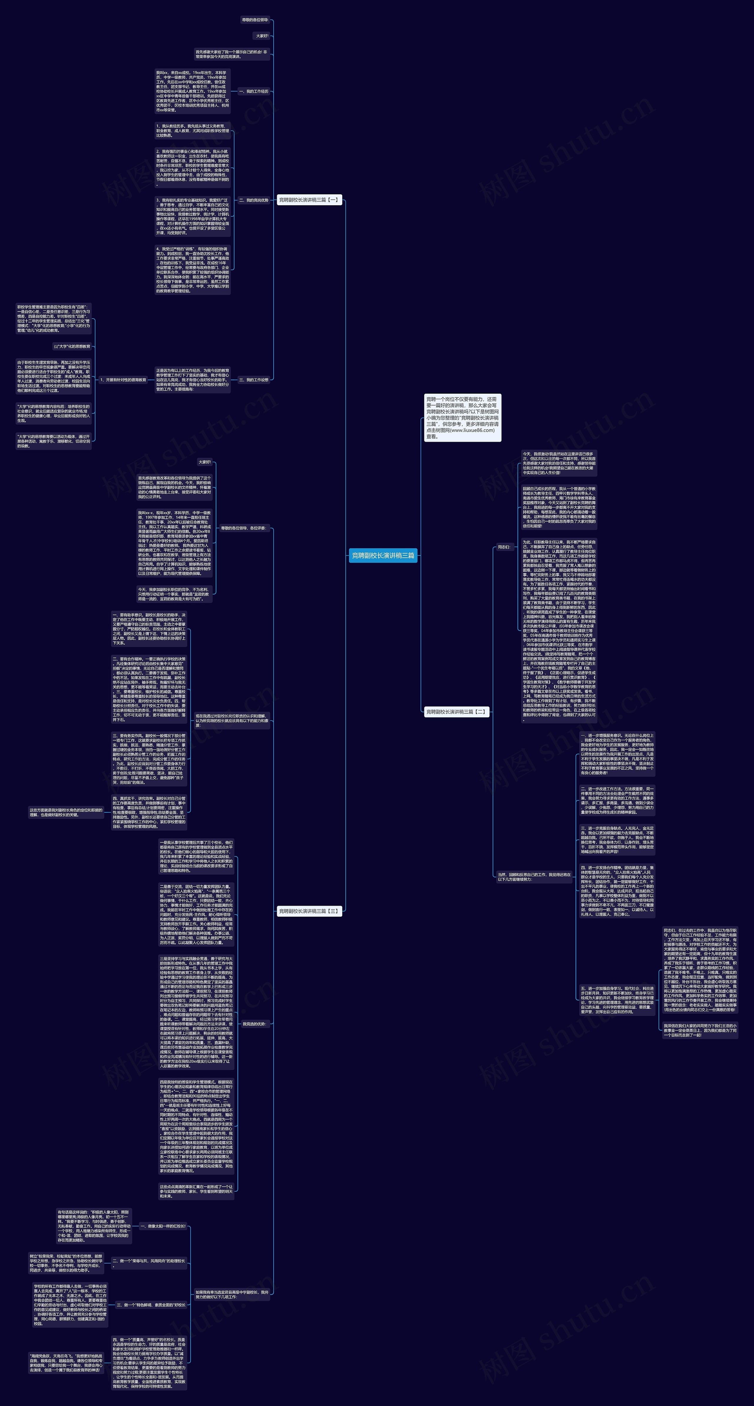 竞聘副校长演讲稿三篇思维导图