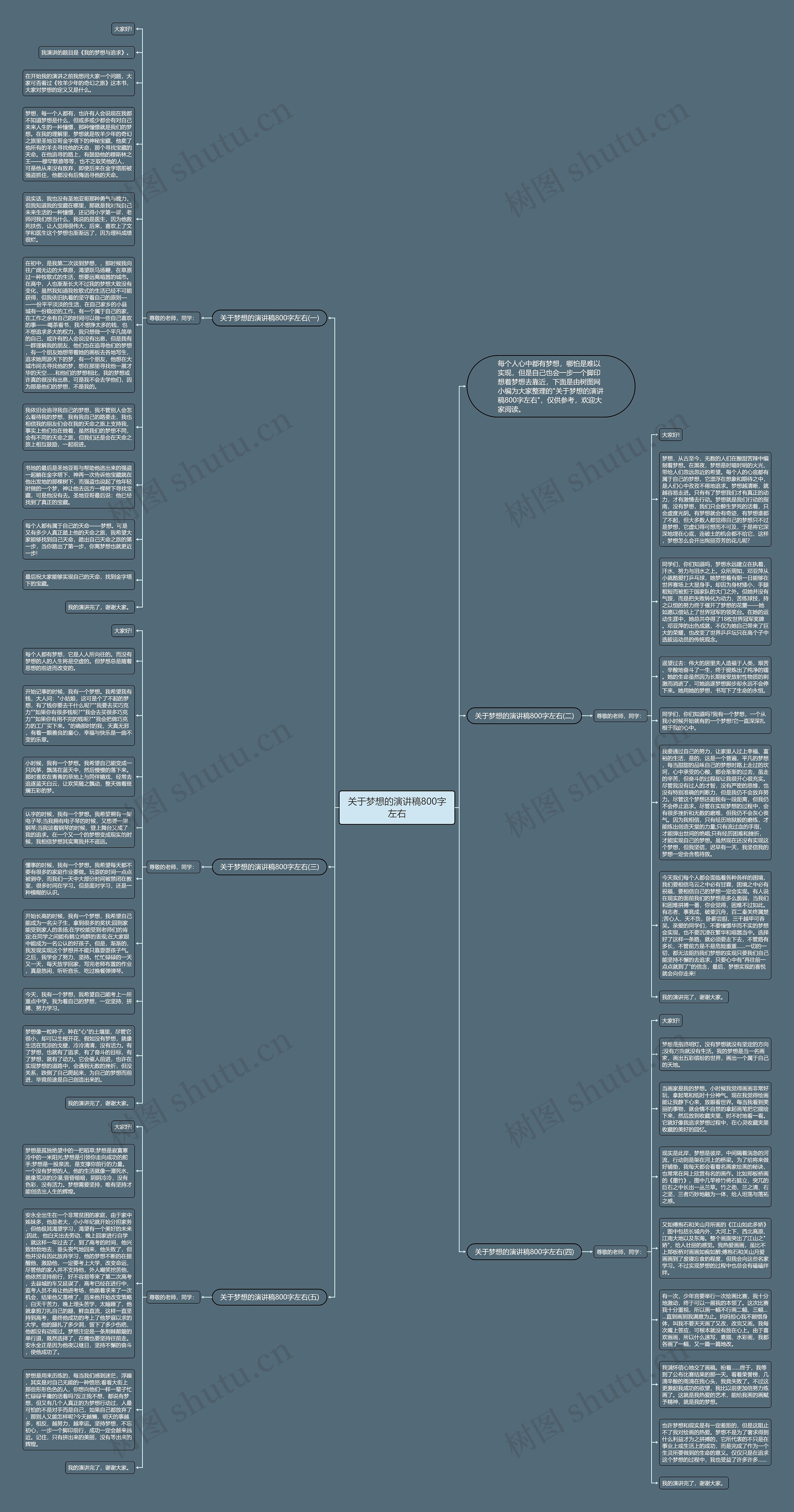 关于梦想的演讲稿800字左右思维导图