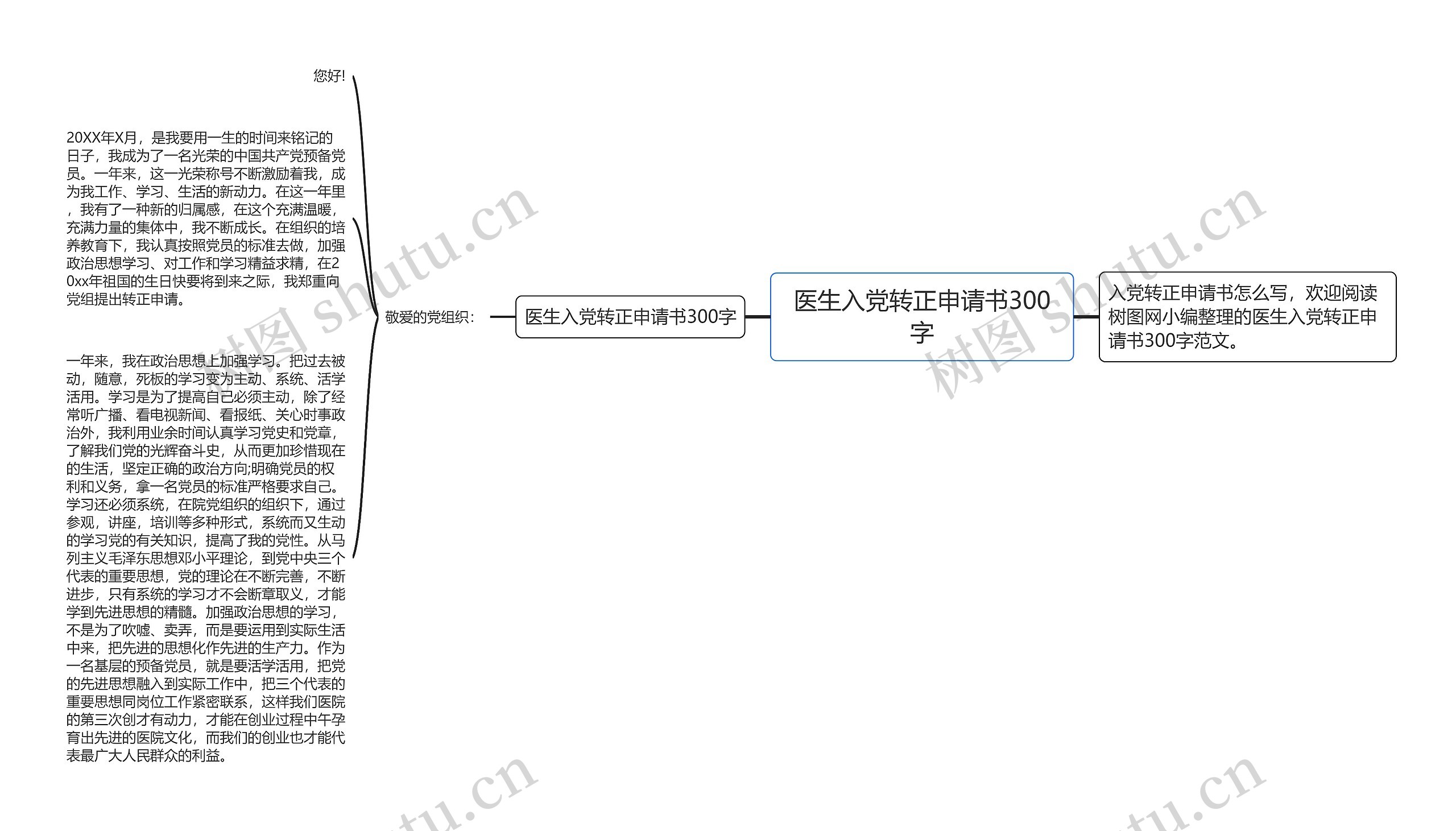 医生入党转正申请书300字思维导图