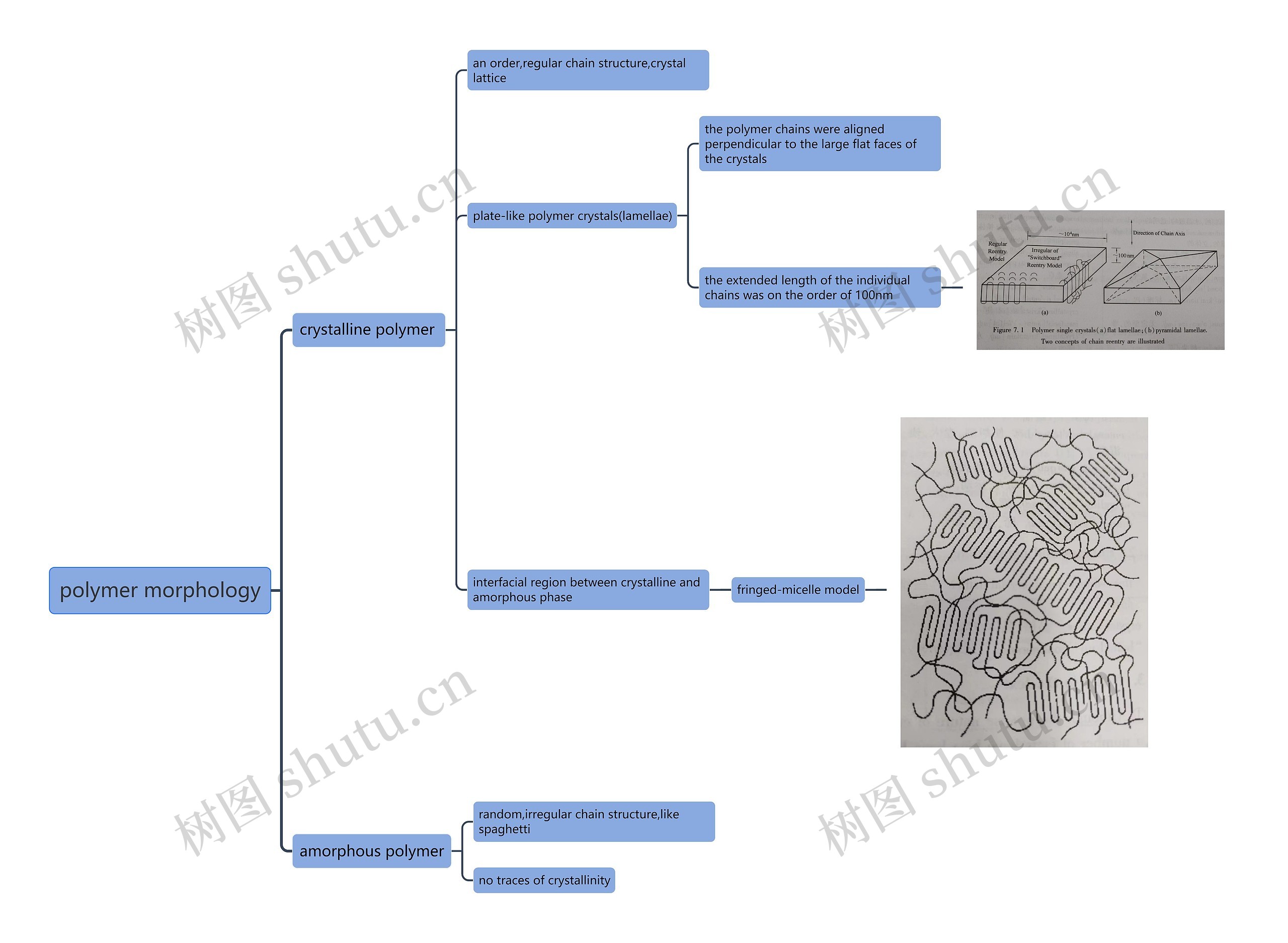 polymer morphology思维导图